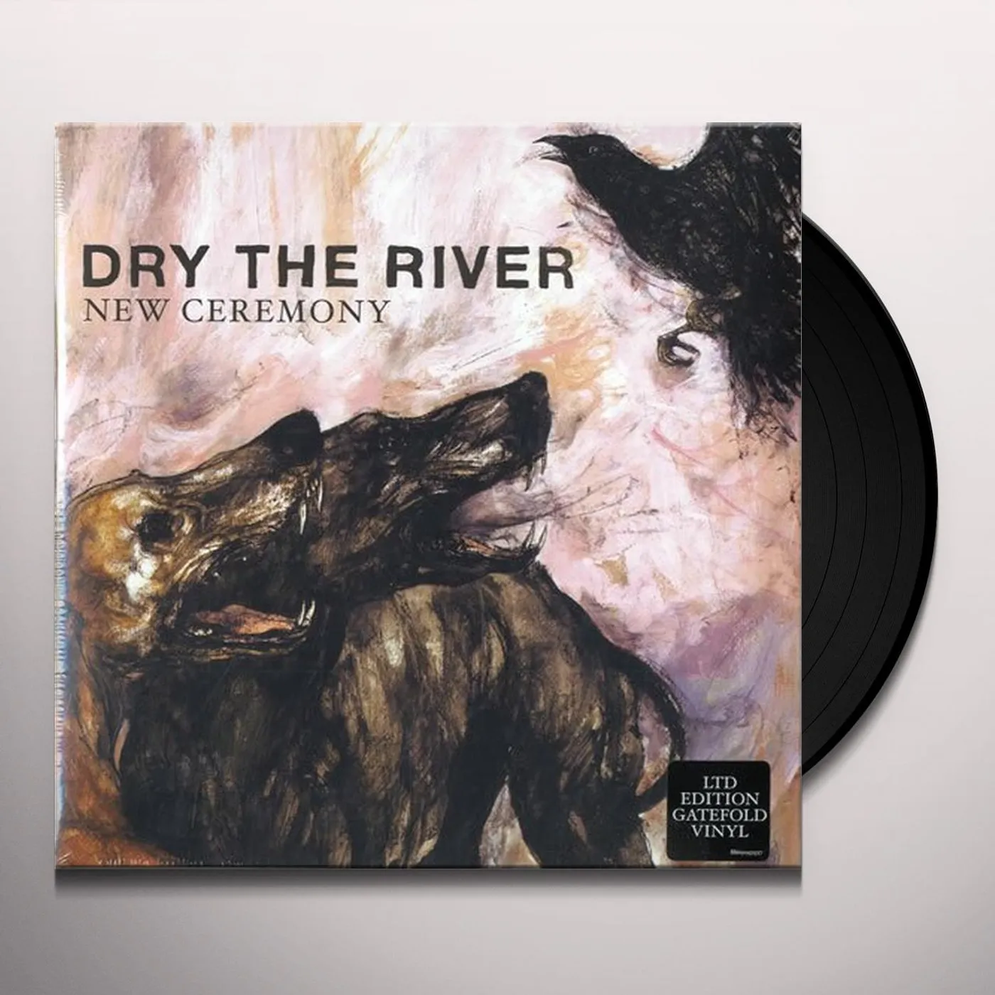 Dry the River NEW CEREMONY Vinyl Record
