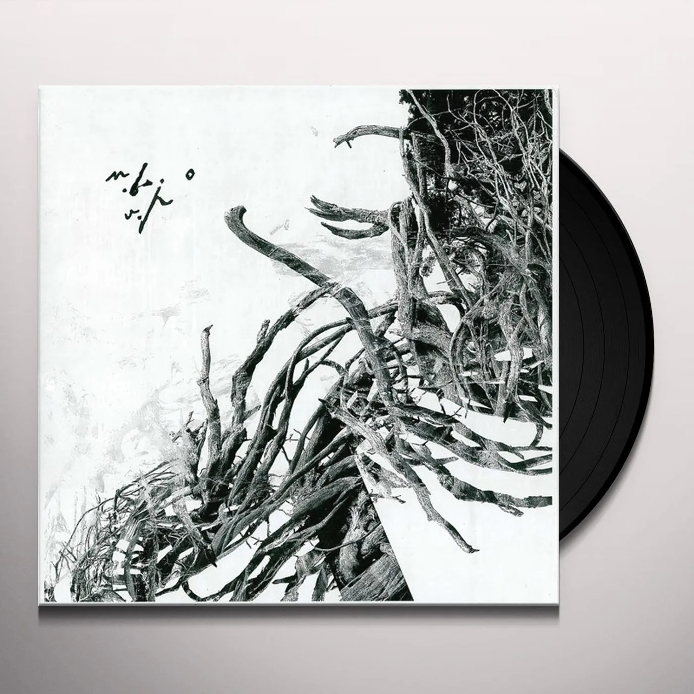 Negură Bunget Virstele Pamintului Vinyl Record