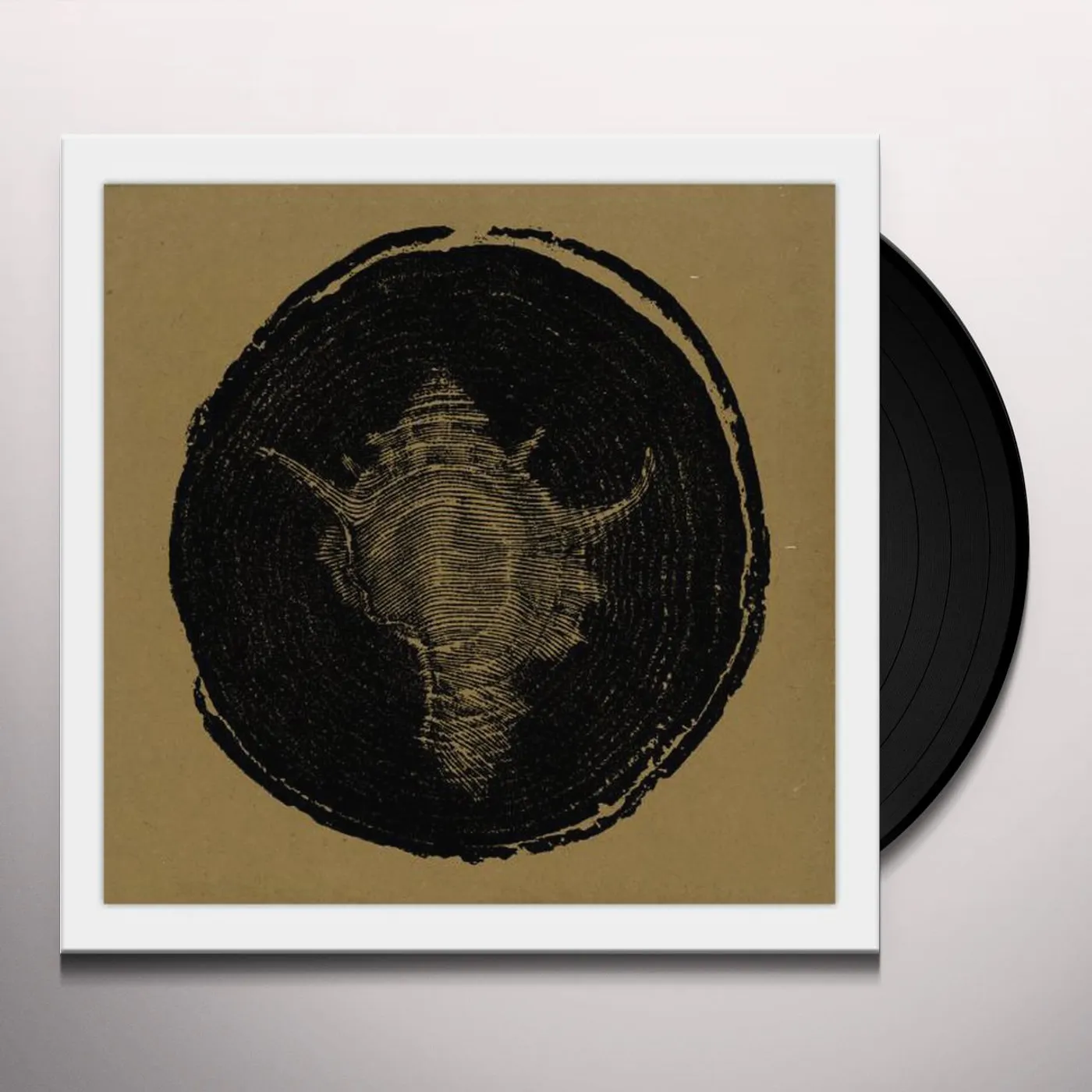 Desolate WITHERING BEAUTY Vinyl Record