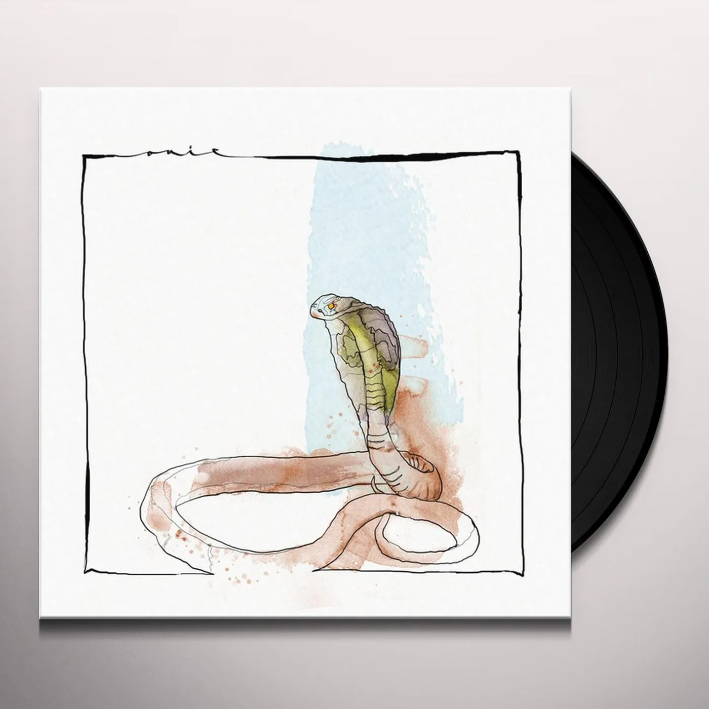 David Mayer Skanda Vinyl Record