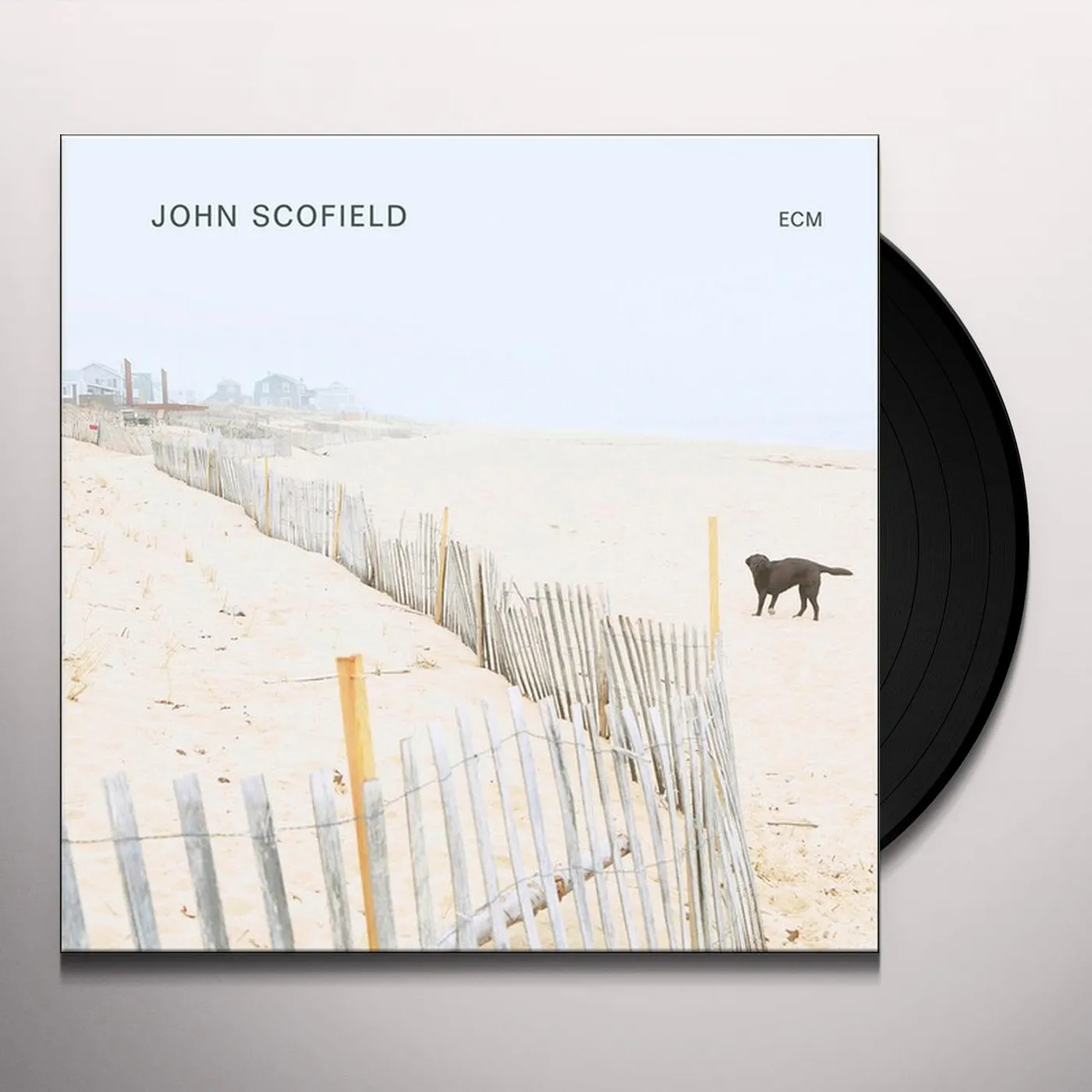 John Scofield Vinyl Record