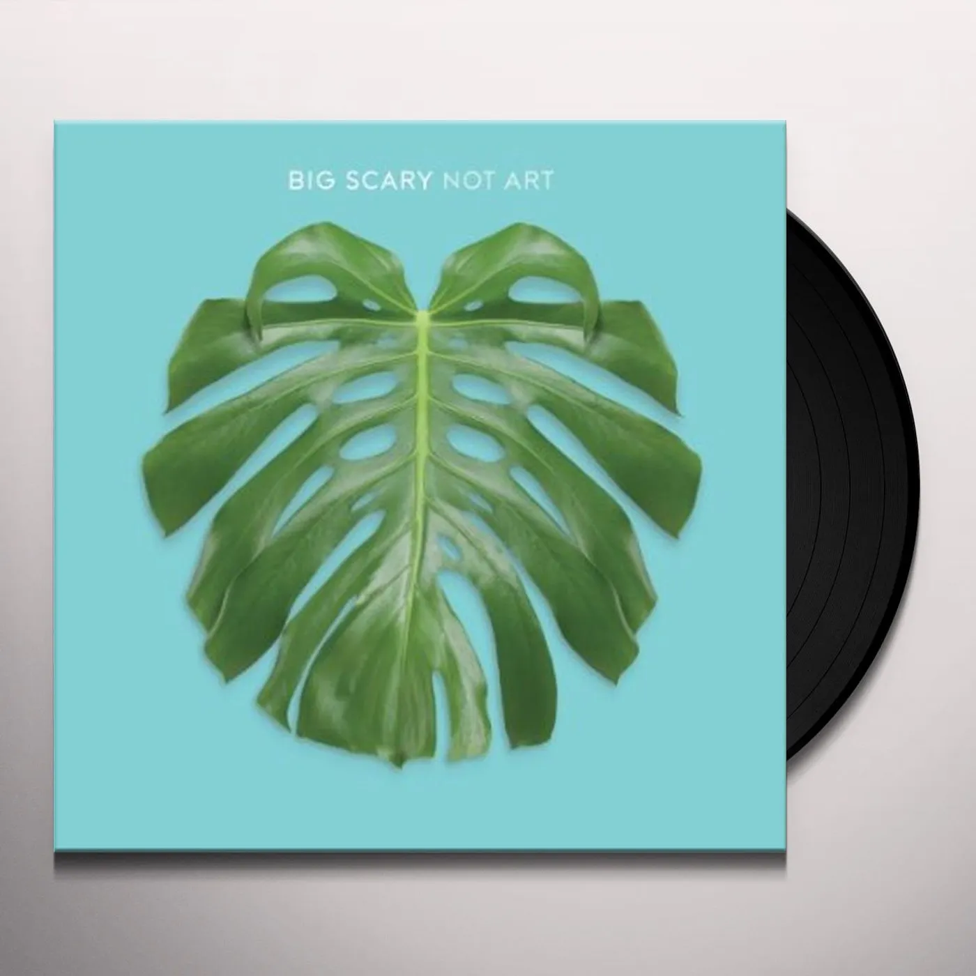 Big Scary Not Art Vinyl Record