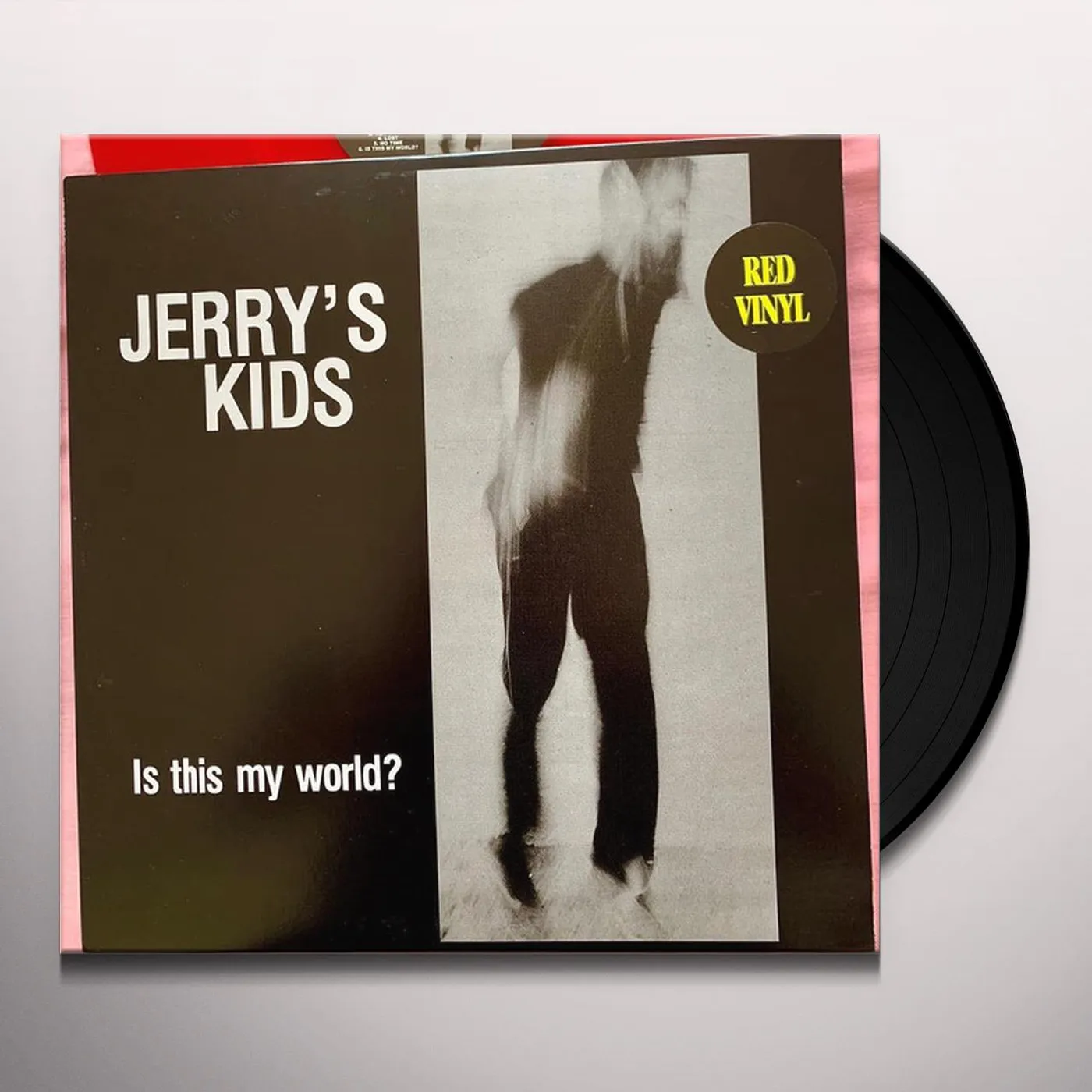 Jerry's Kids IS THIS MY WORLD Vinyl Record