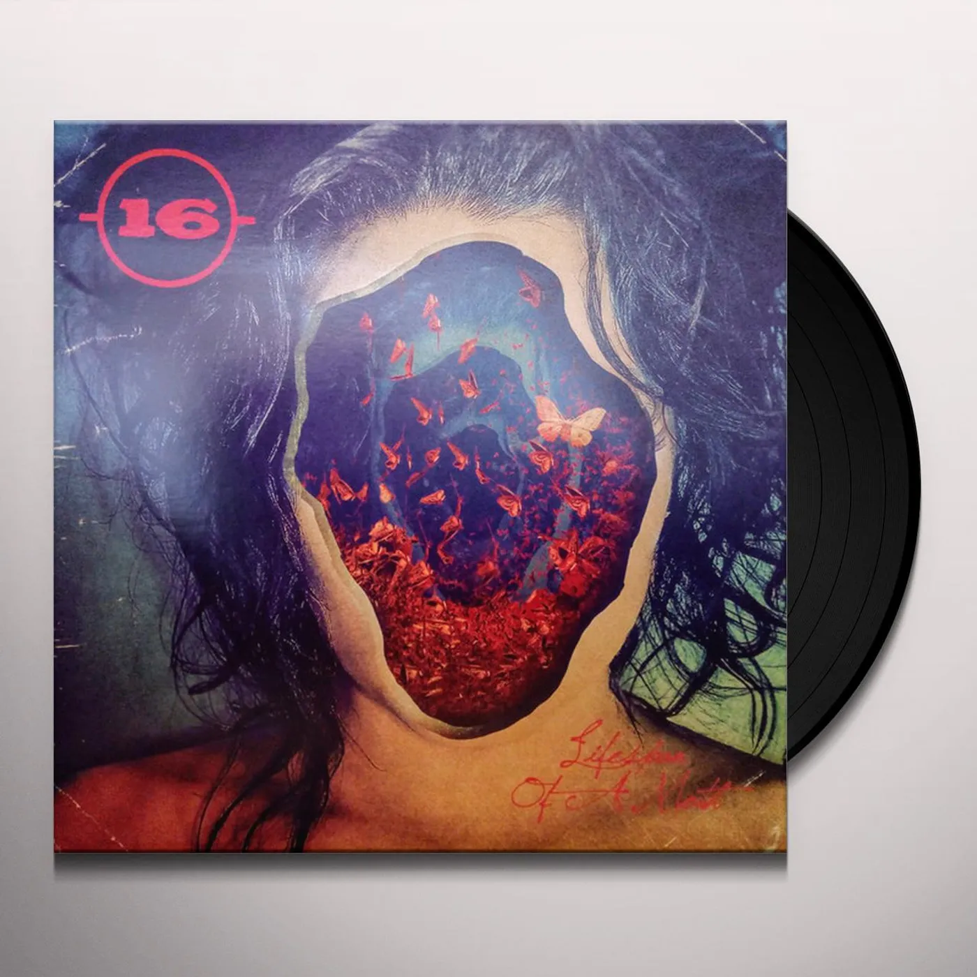 16 Lifespan of a Moth Vinyl Record