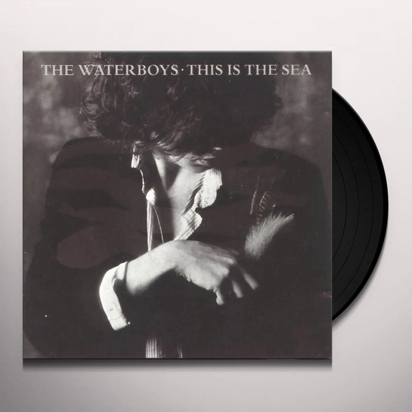The Waterboys This Is The Sea Vinyl Record