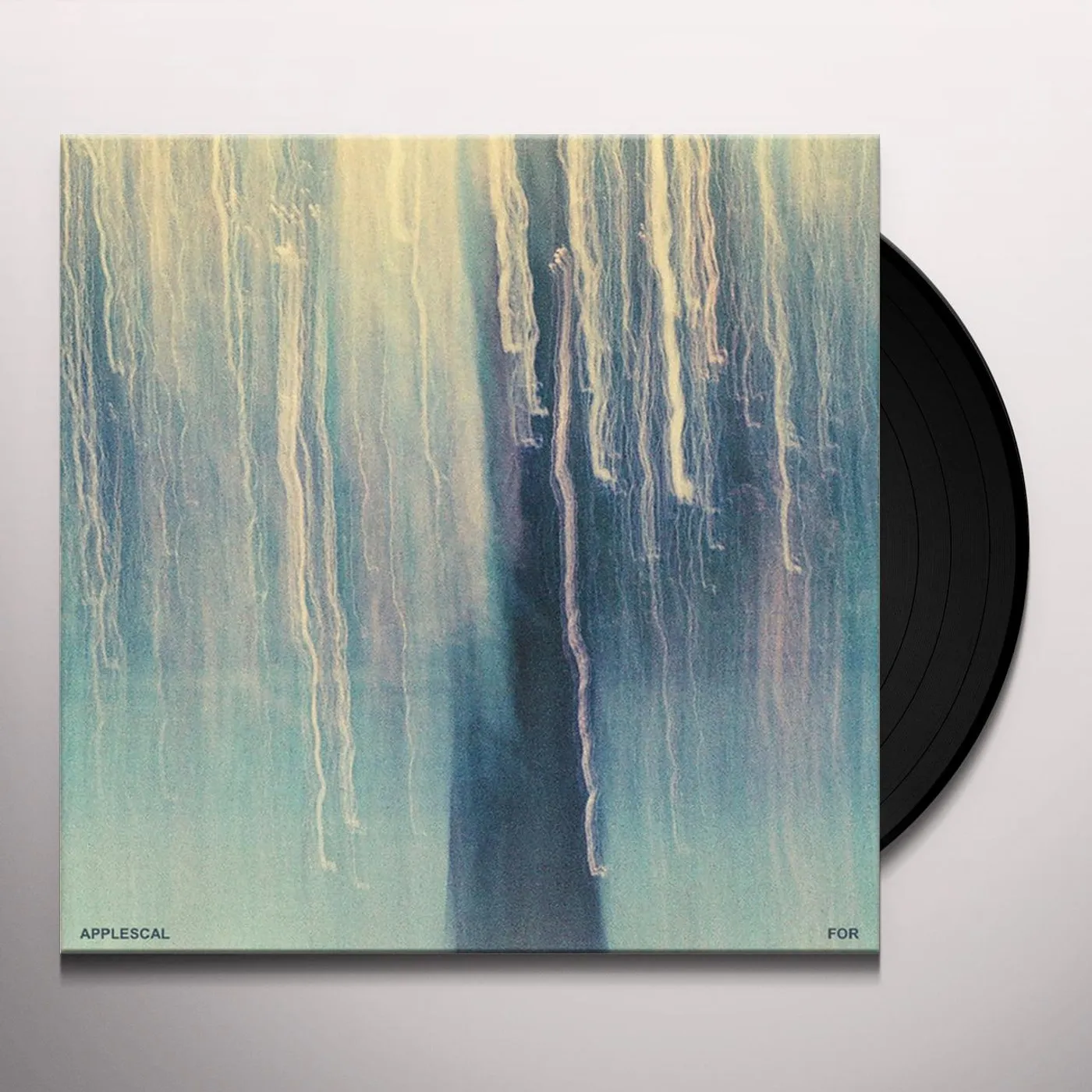 Applescal For Vinyl Record