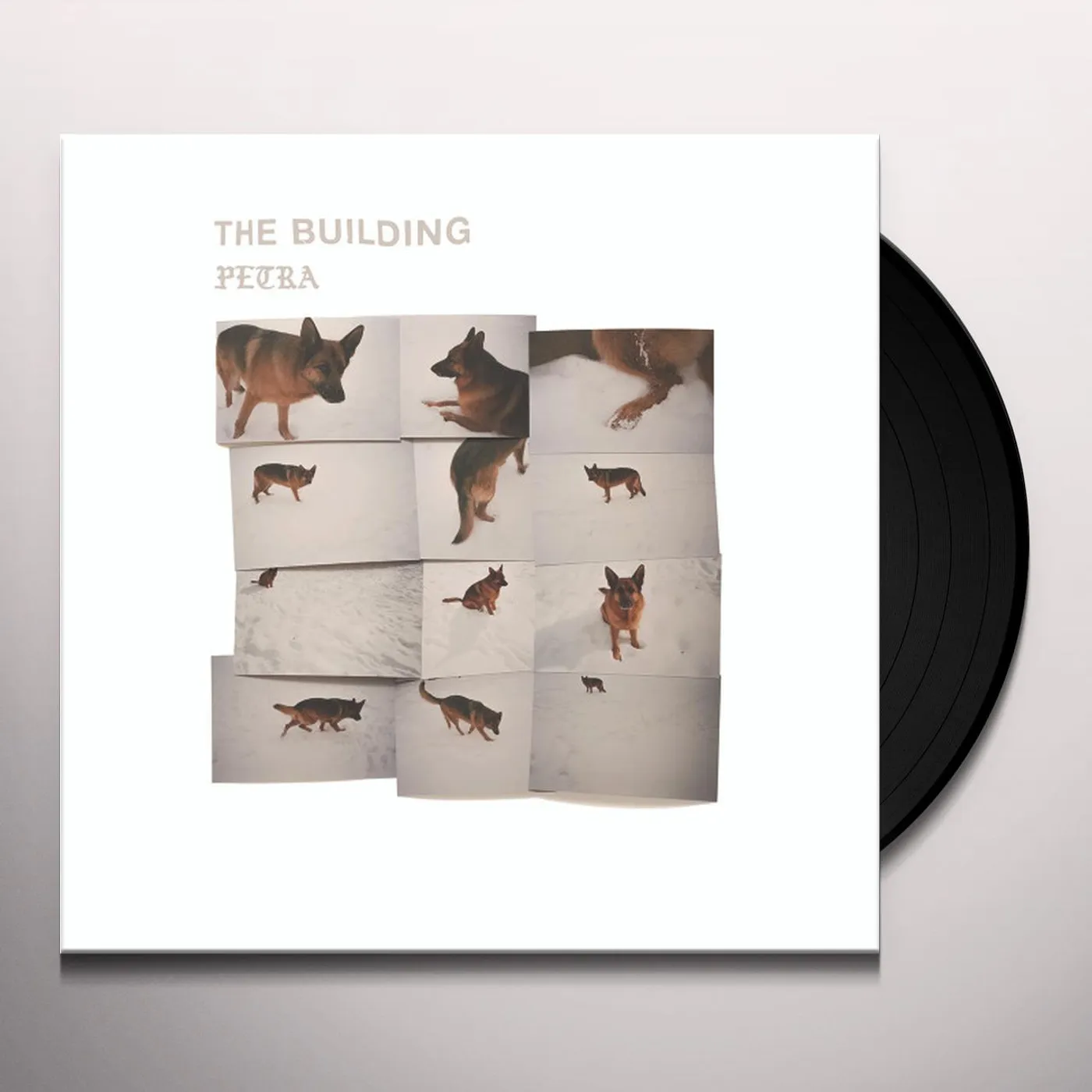 Building PETRA Vinyl Record