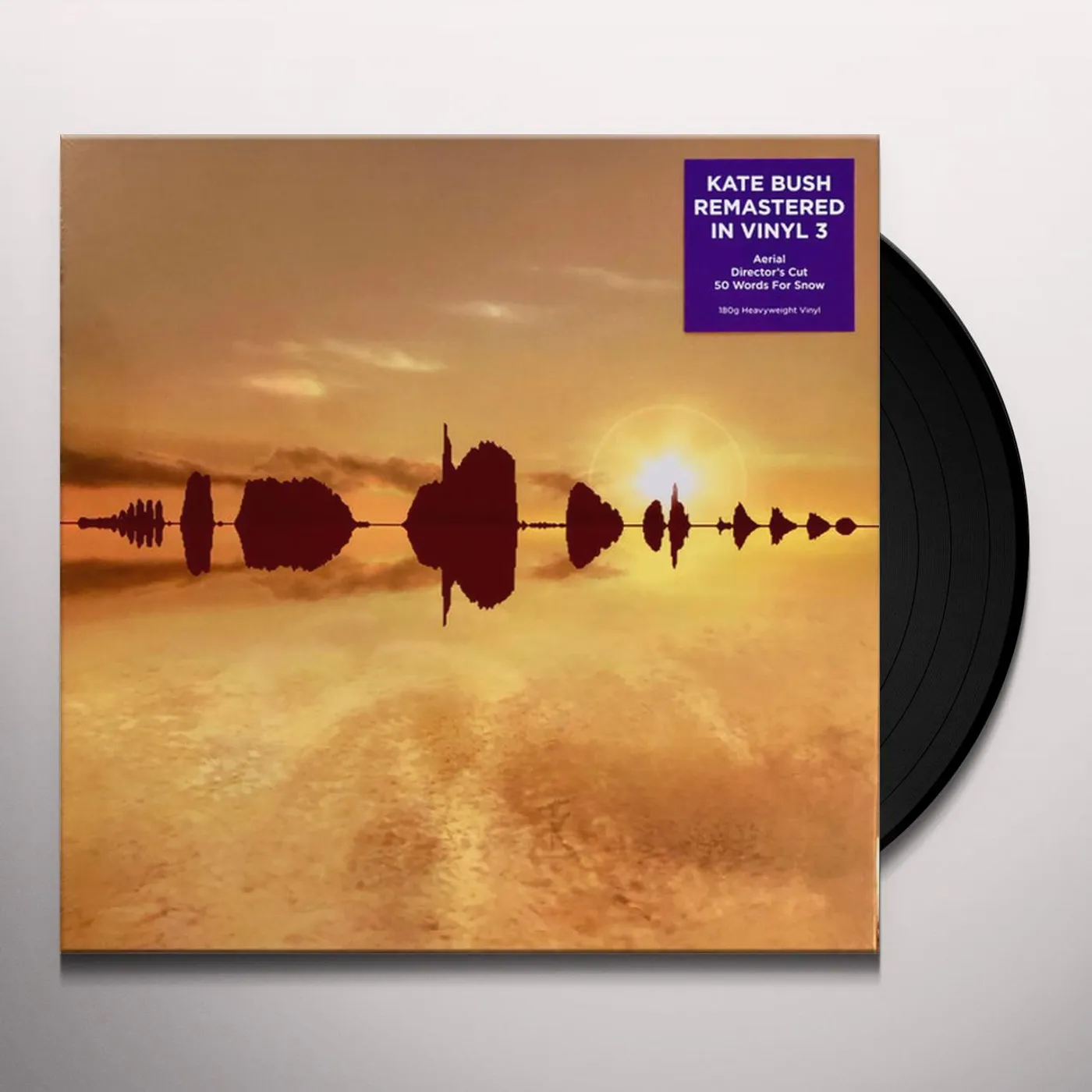 Kate Bush REMASTERED IN VINYL III (AERIAL/50 WORDS FOR SNOW/DIRECTOR'S CUT) (6LP) Vinyl Record