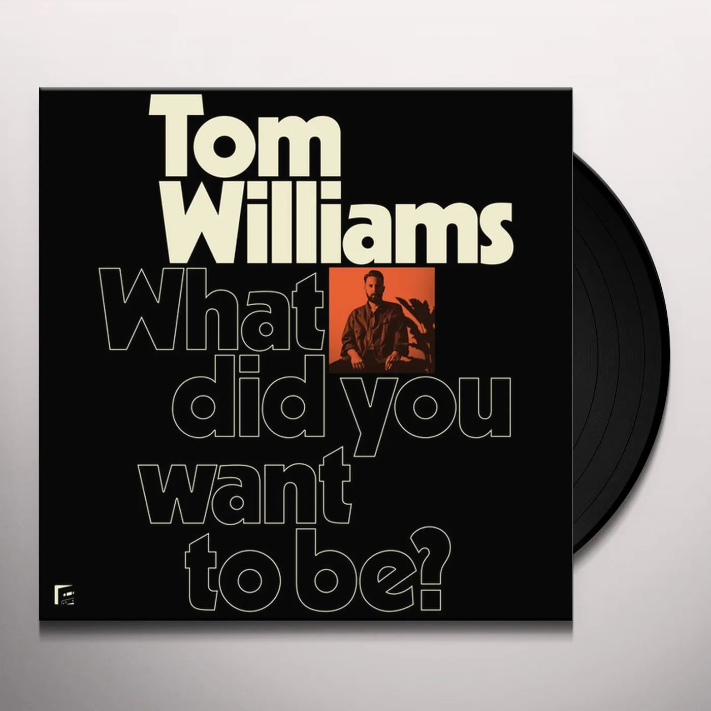 Tom Williams What Did You Want to Be? Vinyl Record
