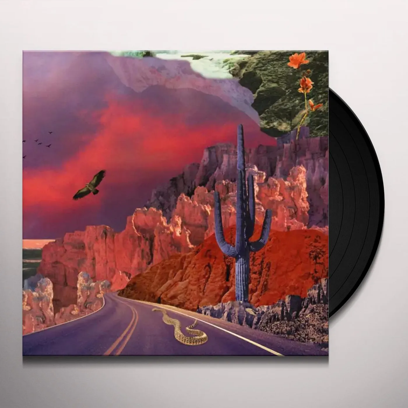 Turkuaz APOLLYON Vinyl Record