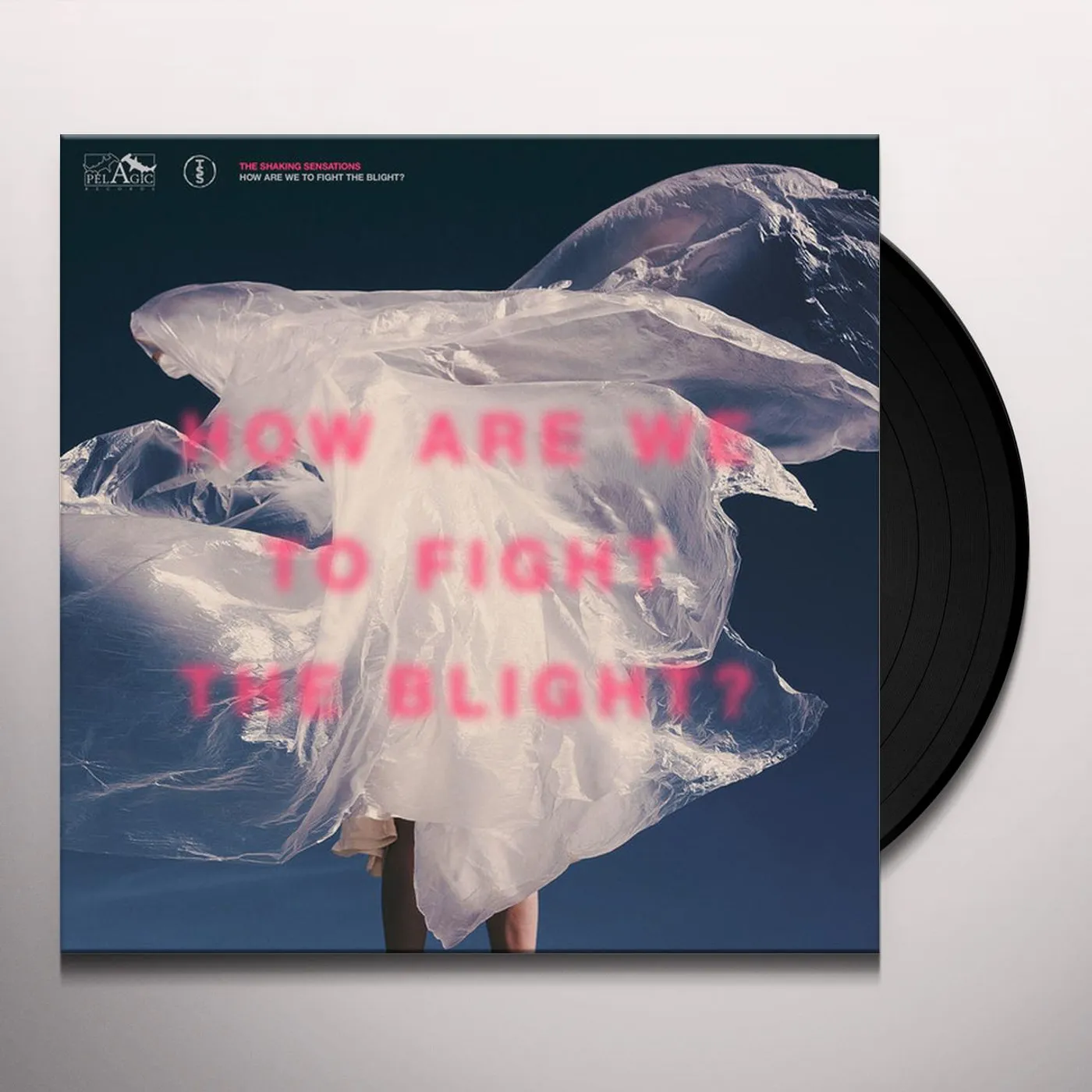 The Shaking Sensations HOW ARE WE TO FIGHT THE BLIGHT Vinyl Record