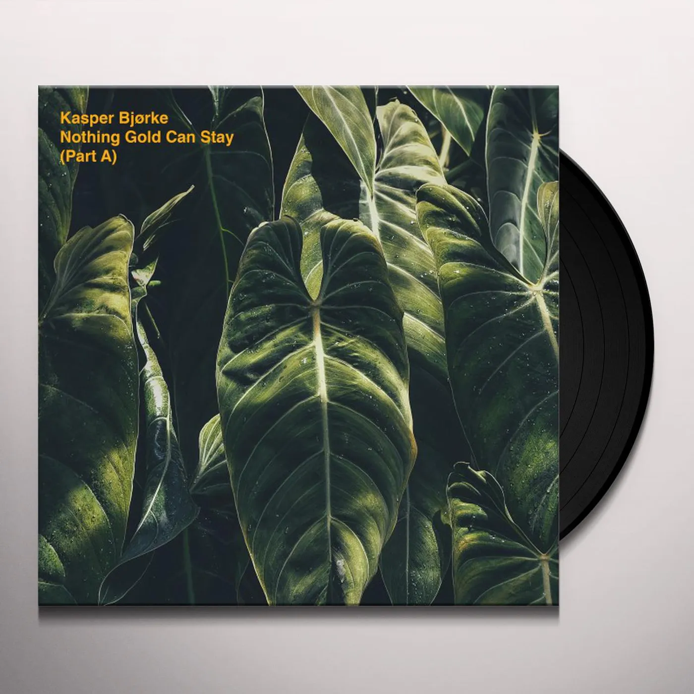 Kasper Bjorke  NOTHING GOLD CAN STAY Vinyl Record
