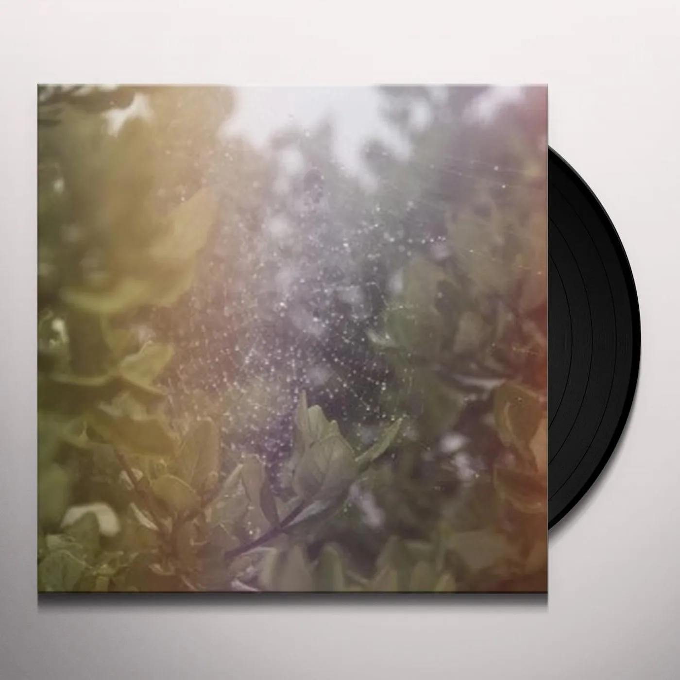 Posse PERFECT H / VOICES Vinyl Record