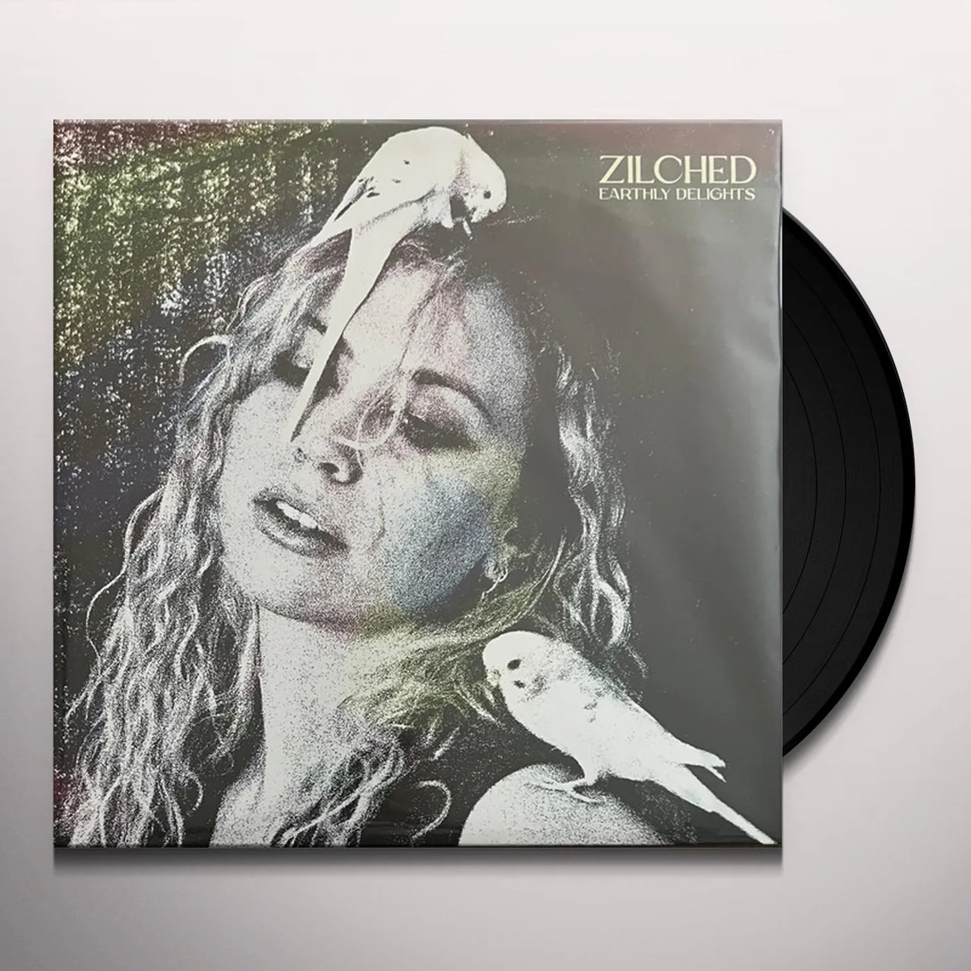 Zilched EARTHLY DELIGHTS Vinyl Record