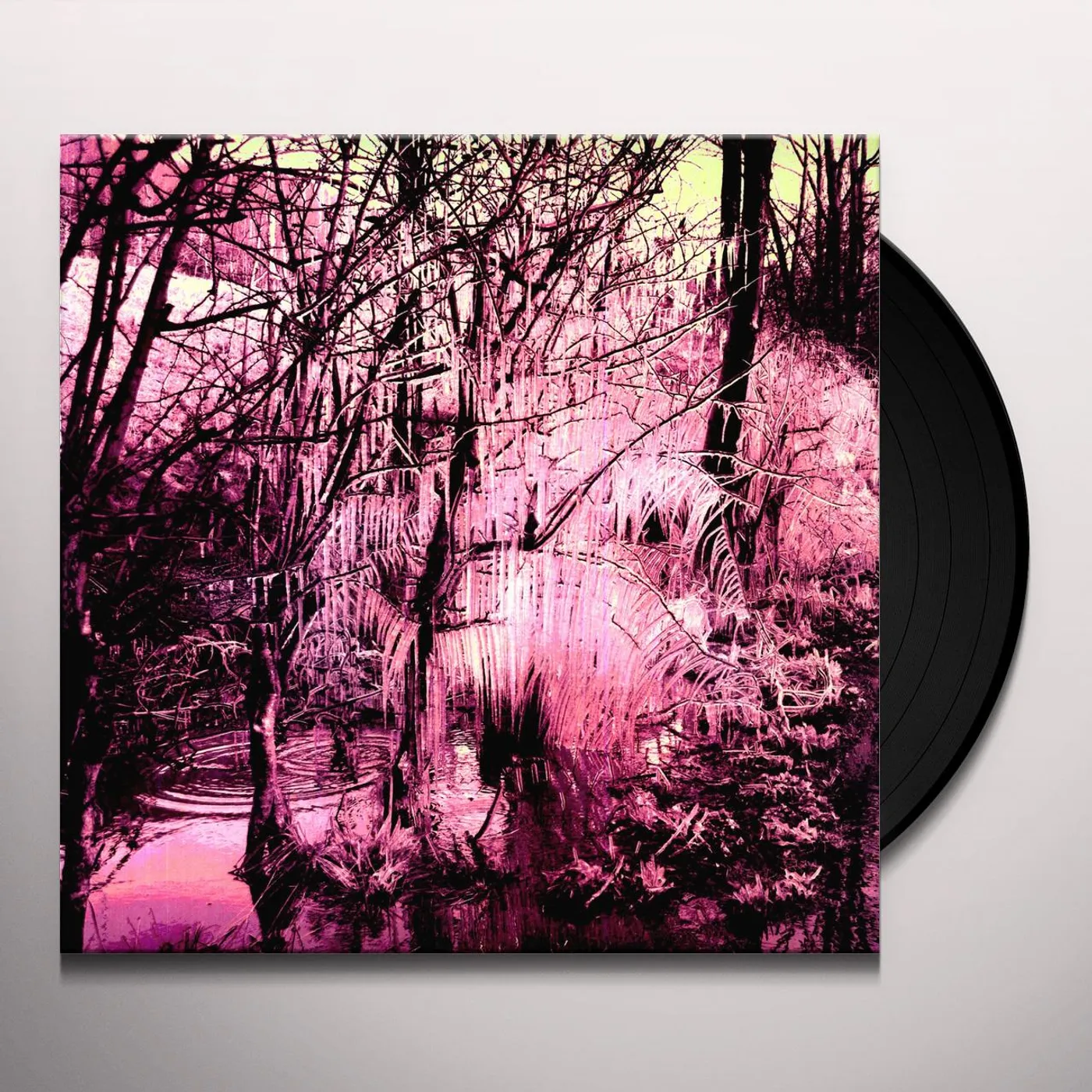 Esben and the Witch Violet Cries Vinyl Record