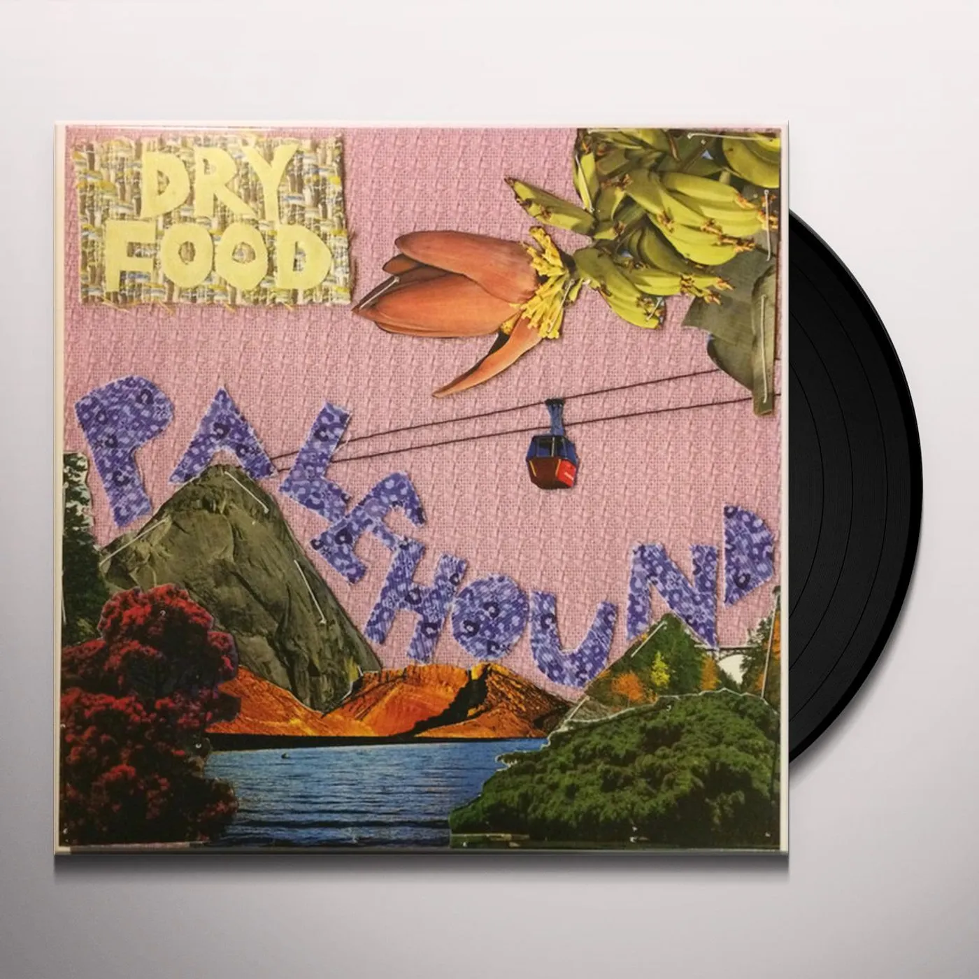 Palehound Dry Food Vinyl Record