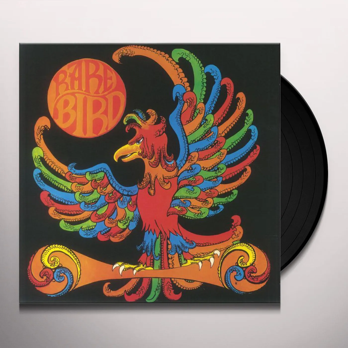 RARE BIRD Vinyl Record