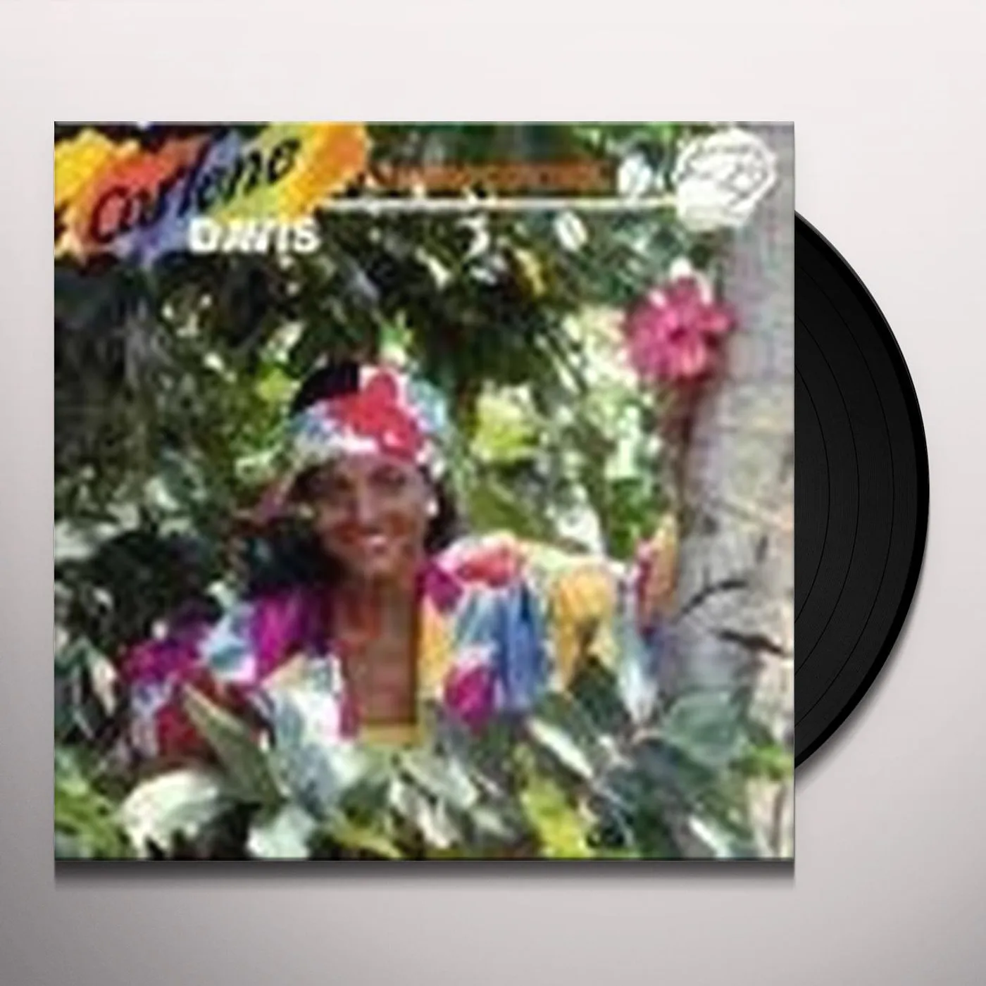 Carlene Davis TAKING CONTROL Vinyl Record