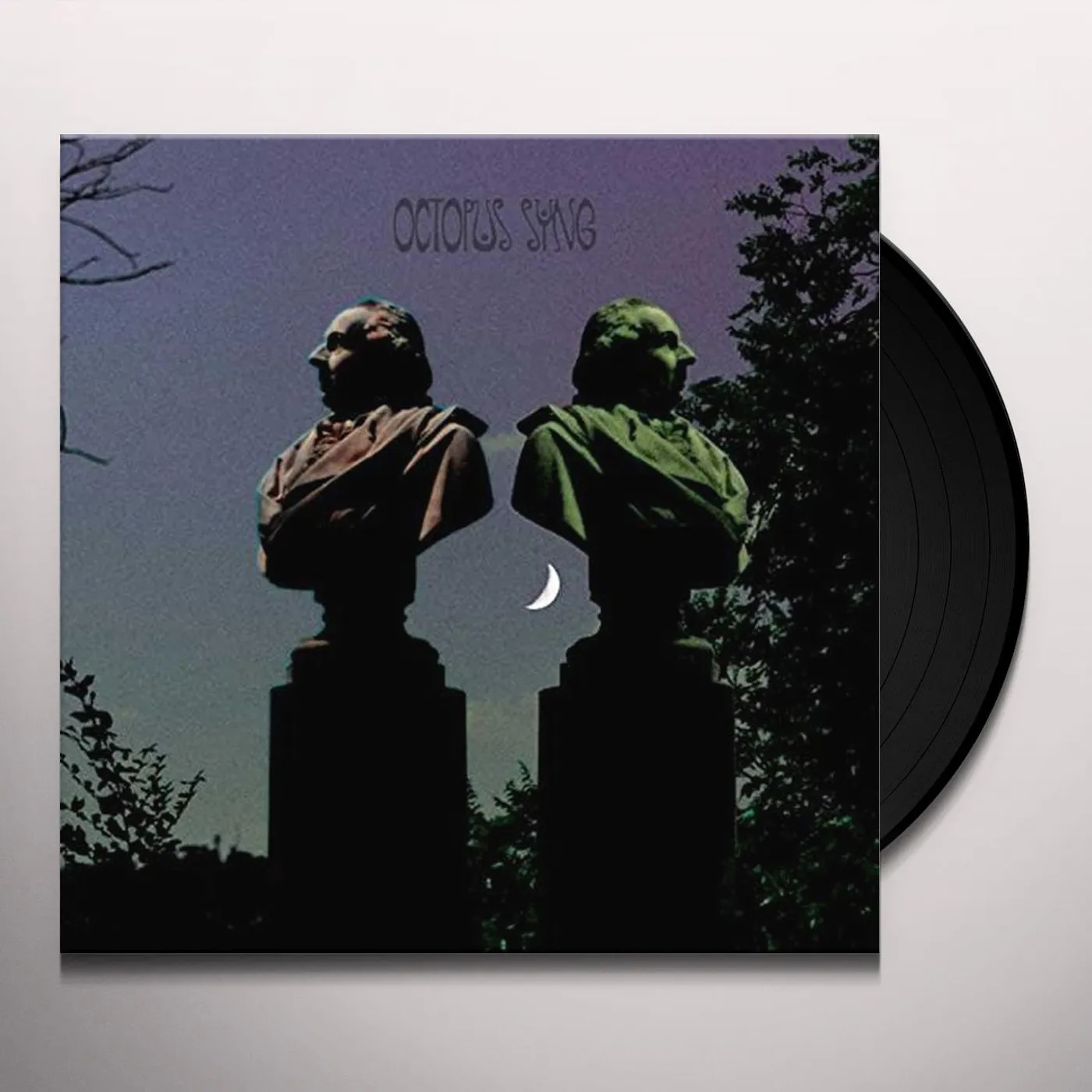 Octopus Syng Hollow Ghost / Rochelle Salt Vinyl Record