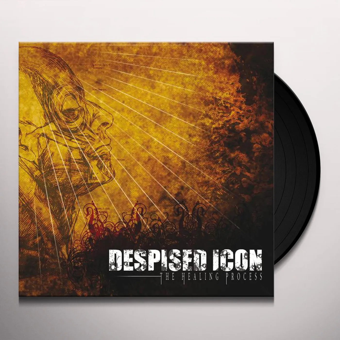 Despised Icon HEALING PROCESS Vinyl Record