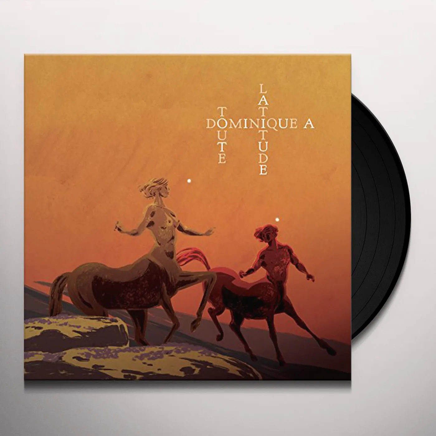 Dominique A Toute latitude Vinyl Record