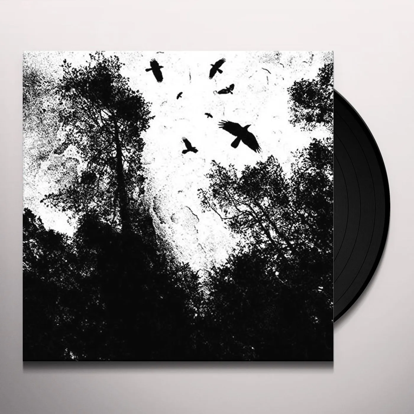 Autumn's Dawn Vinyl Record