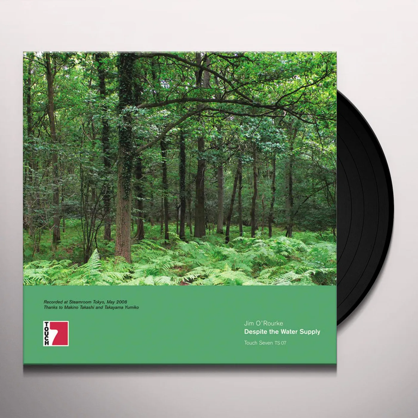 Jim O'Rourke DESPITE THE WATER SUPPLY Vinyl Record