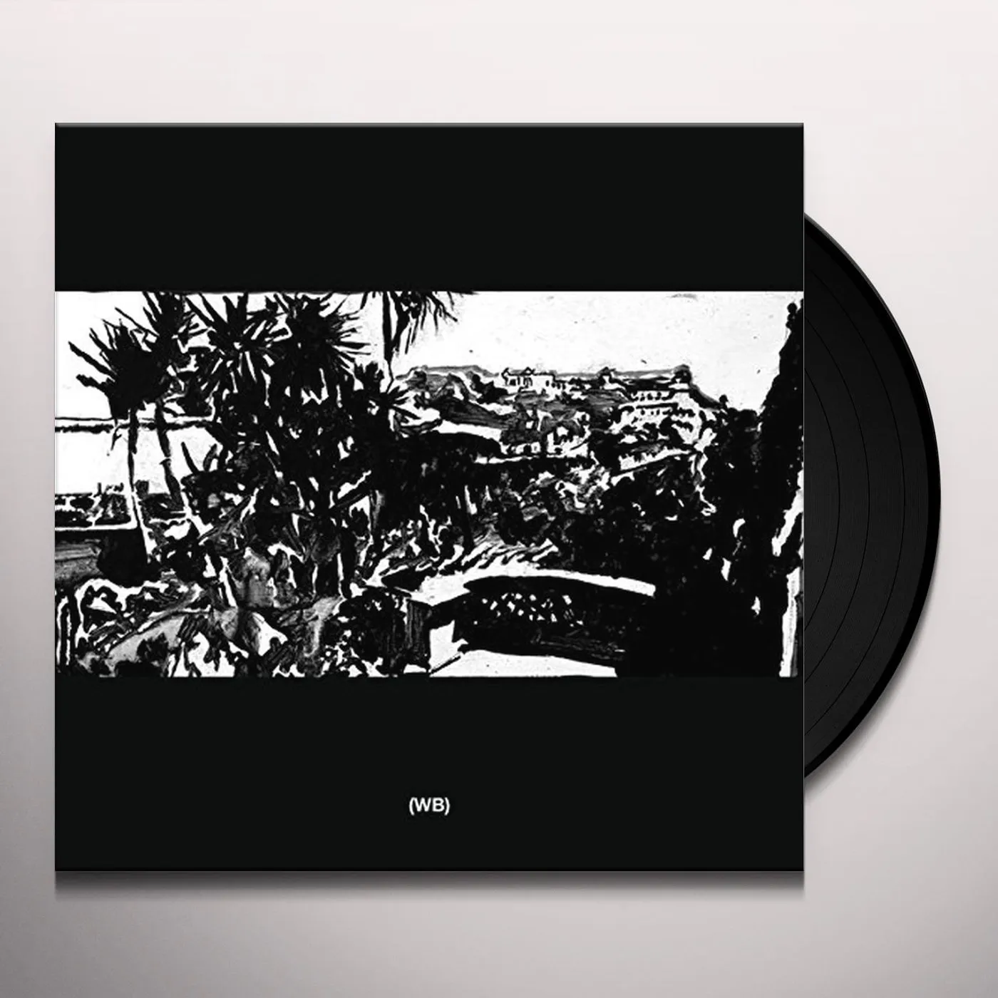 Wild Books 2 Vinyl Record