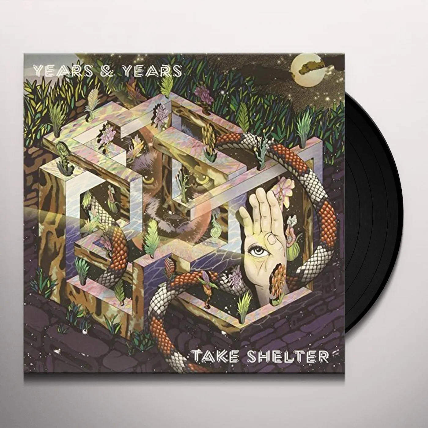 Years & Years Take Shelter Vinyl Record