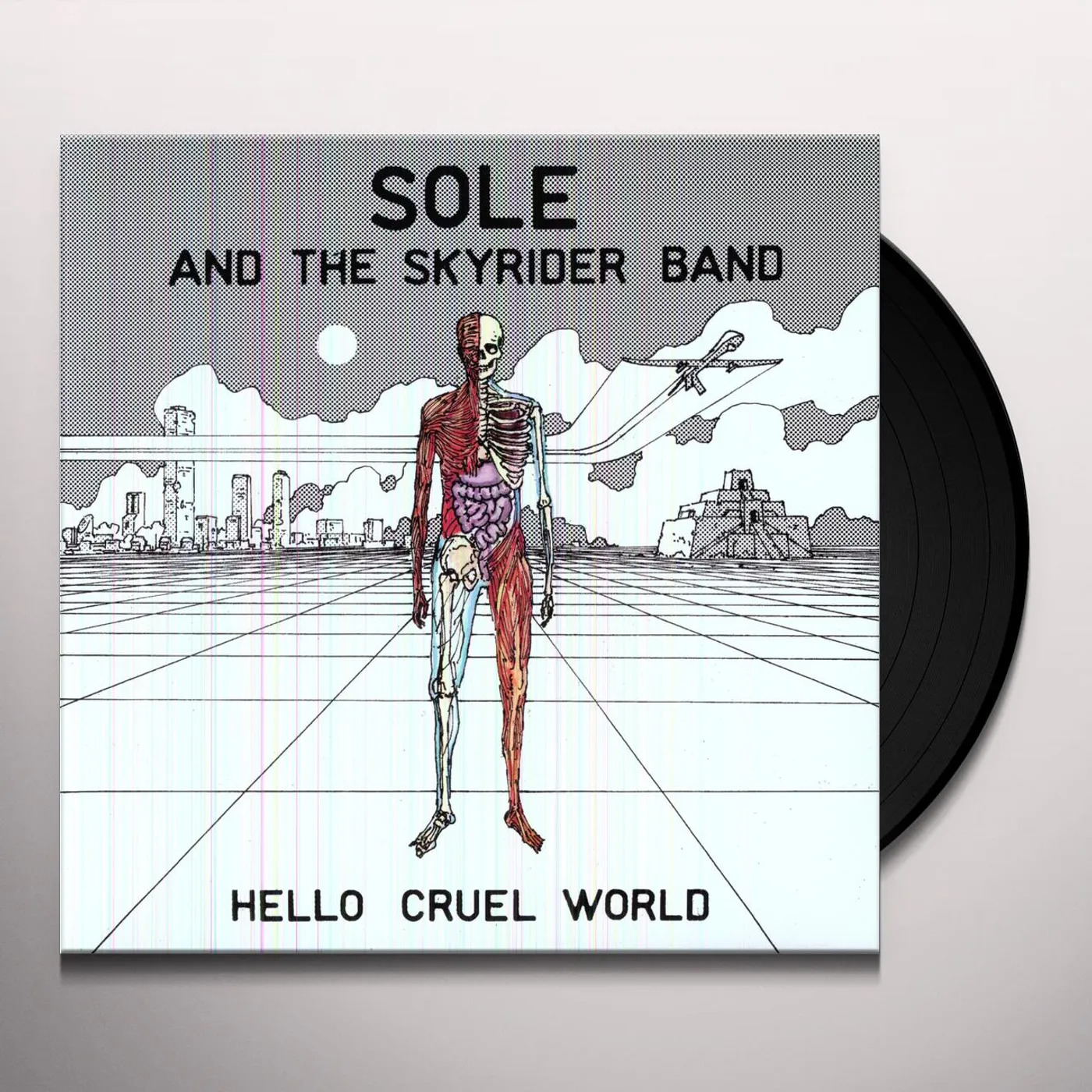 Sole & The Skyrider Band Hello Cruel World Vinyl Record
