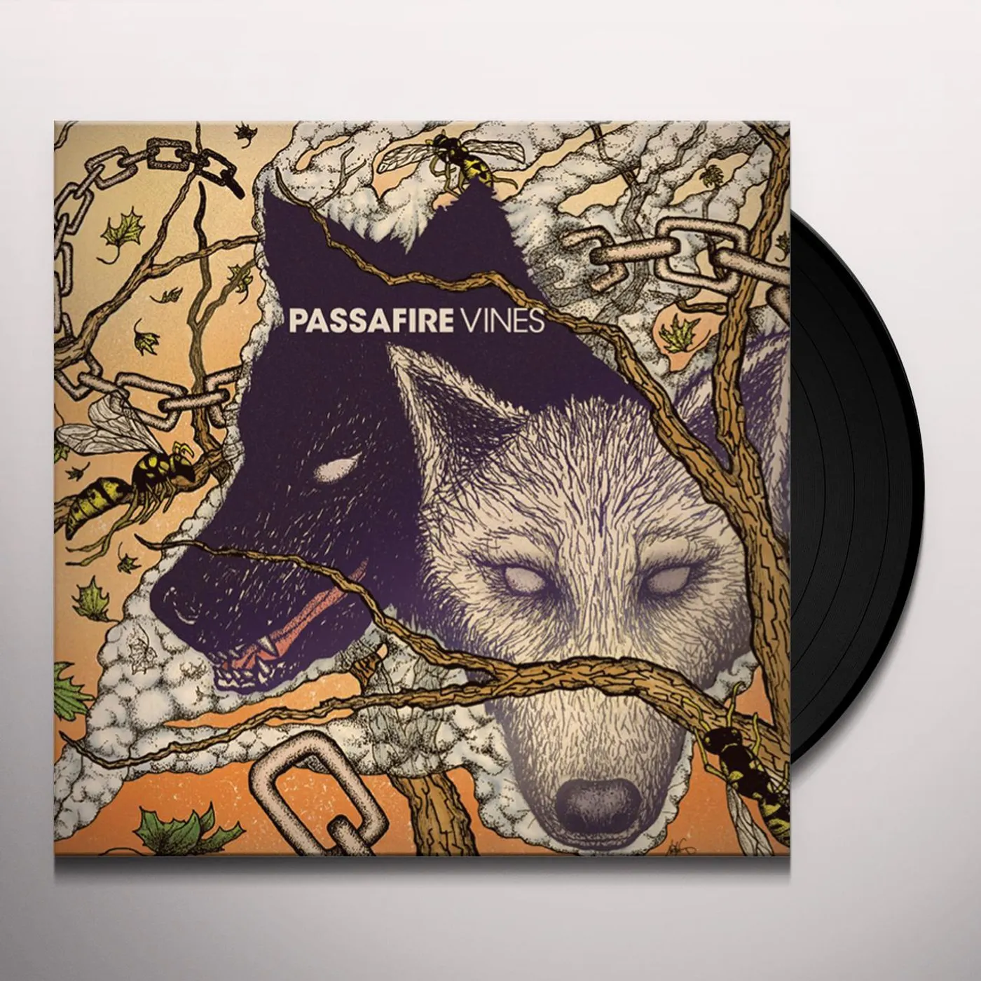 Passafire Vines Vinyl Record