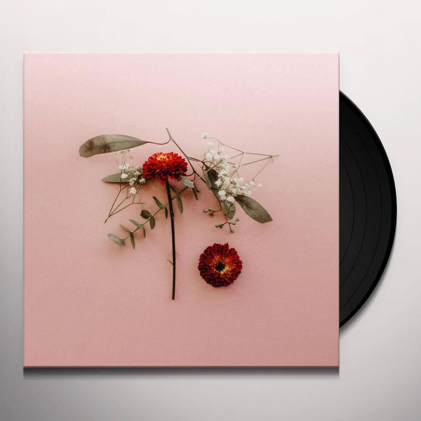 Sunsleeper You Can Miss Something & Not Want It Back Vinyl Record