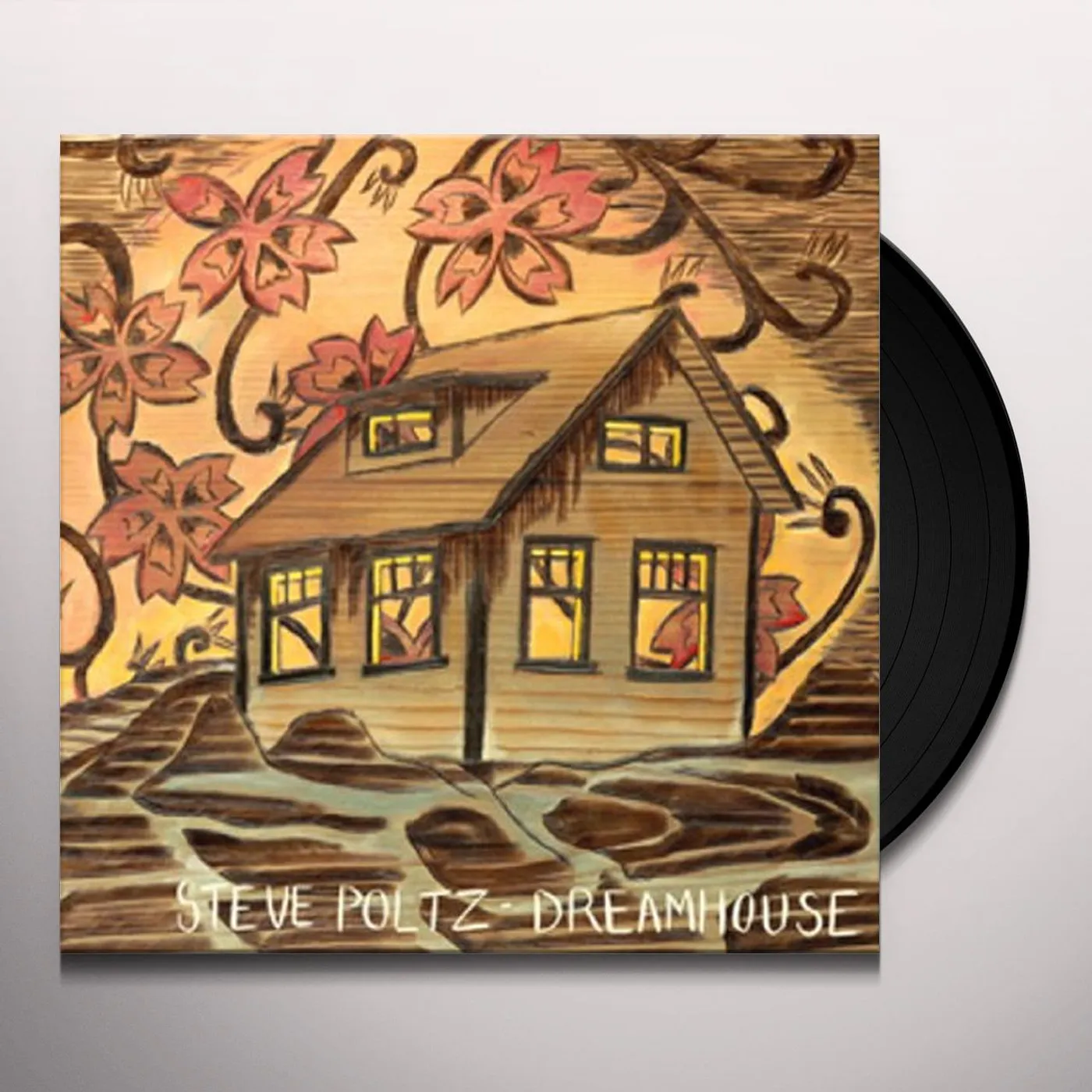 Steve Poltz Dreamhouse Vinyl Record