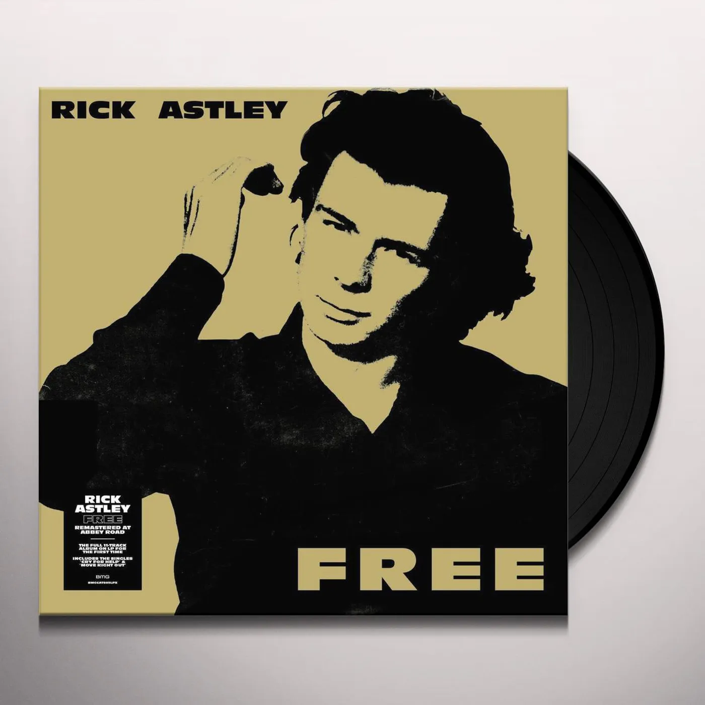 Rick Astley Free Vinyl Record