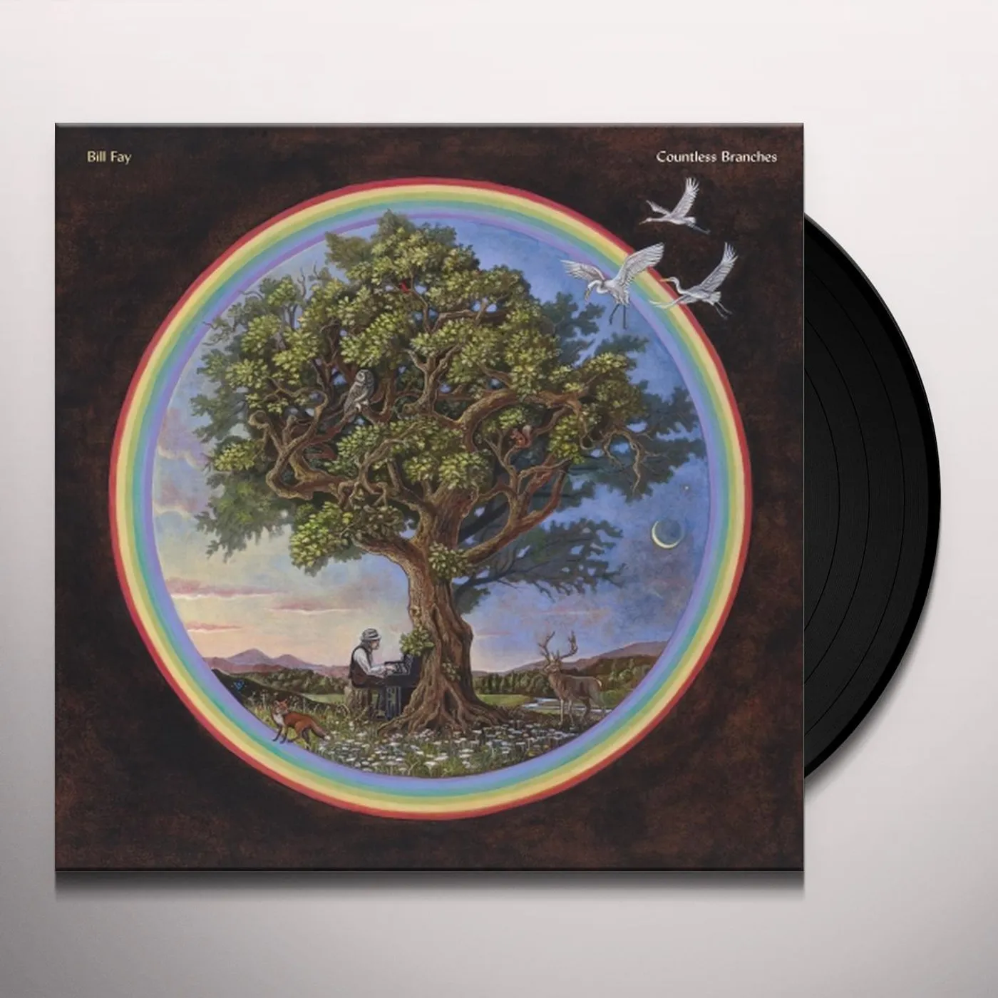 Bill Fay COUNTLESS BRANCHES Vinyl Record