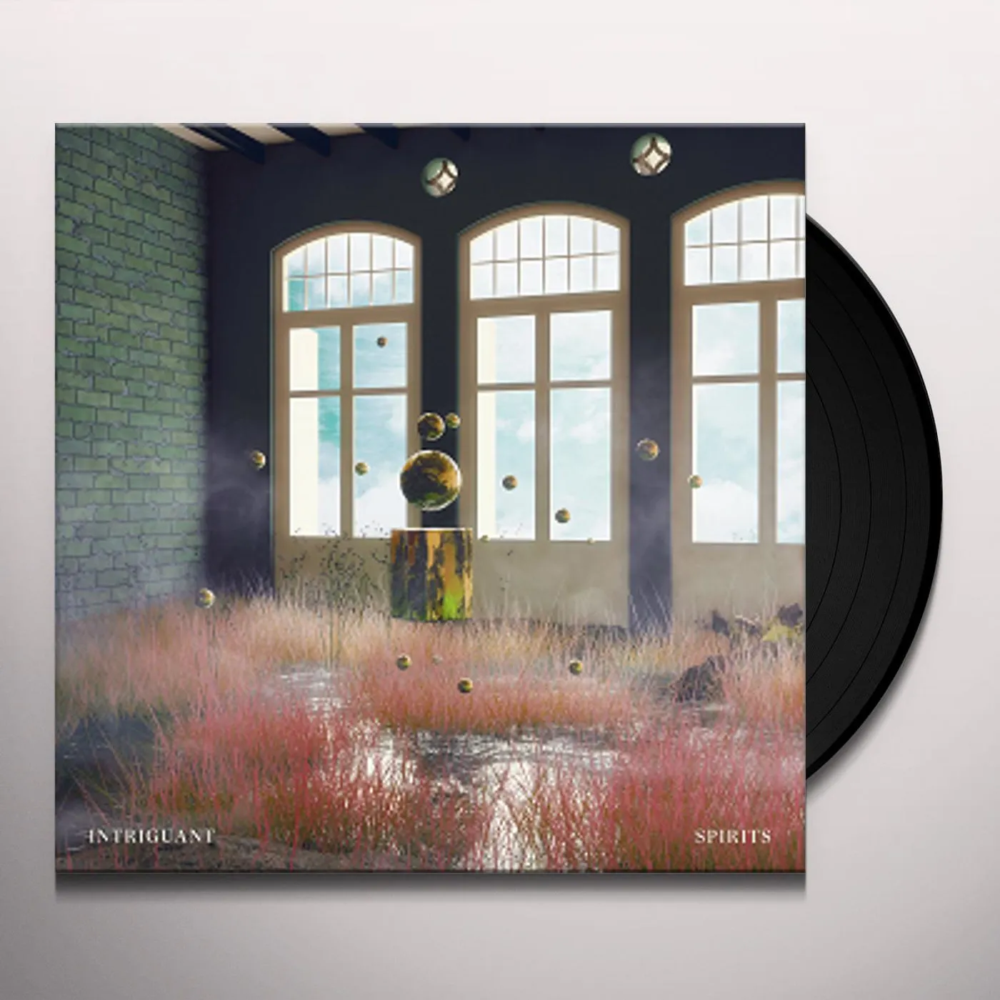 Intriguant Spirits Vinyl Record