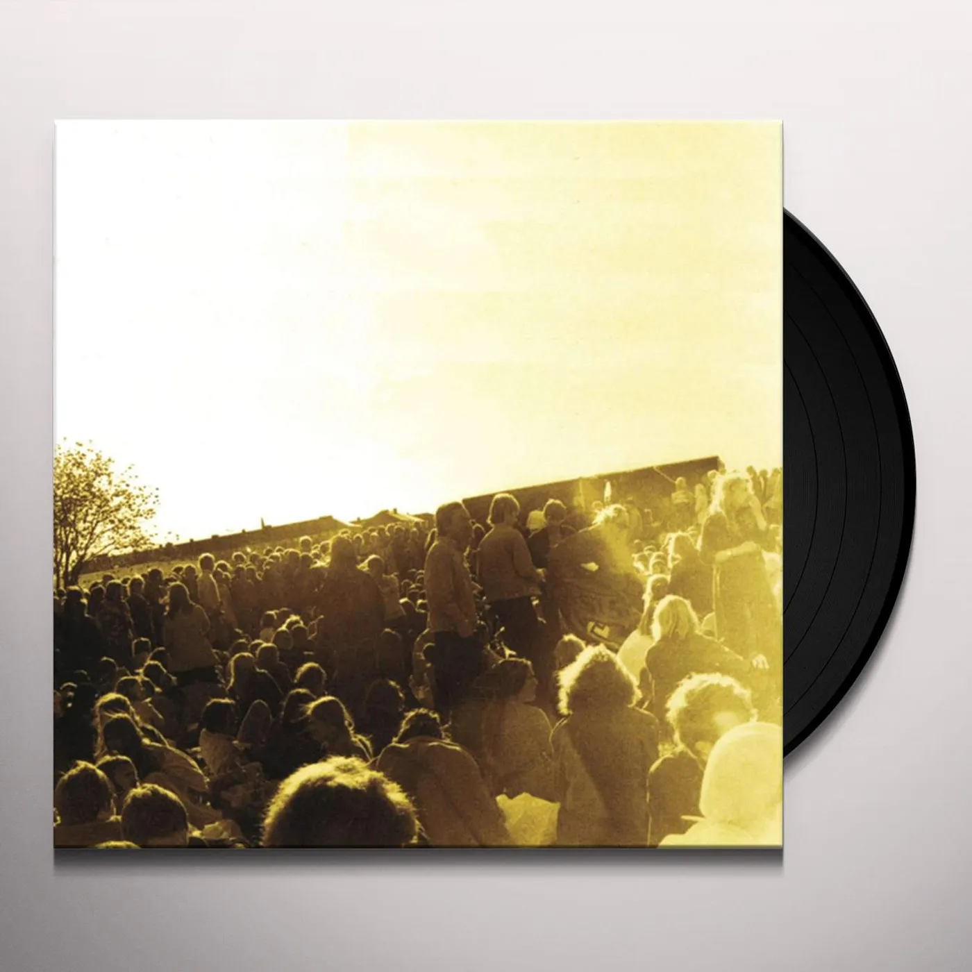 Träd Gräs Och Stenar GARDET 12.6.1970 Vinyl Record