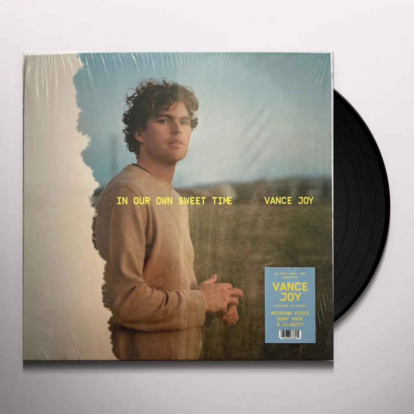 Vance Joy In Our Own Sweet Time Vinyl Record