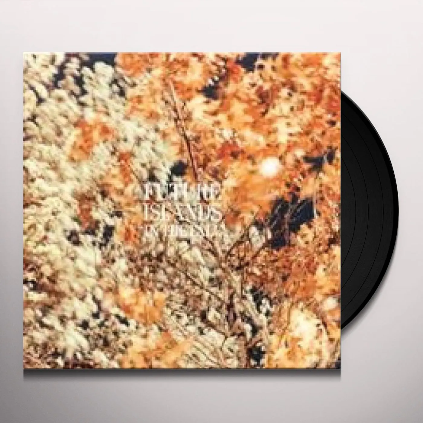 Future Islands In the Fall Vinyl Record