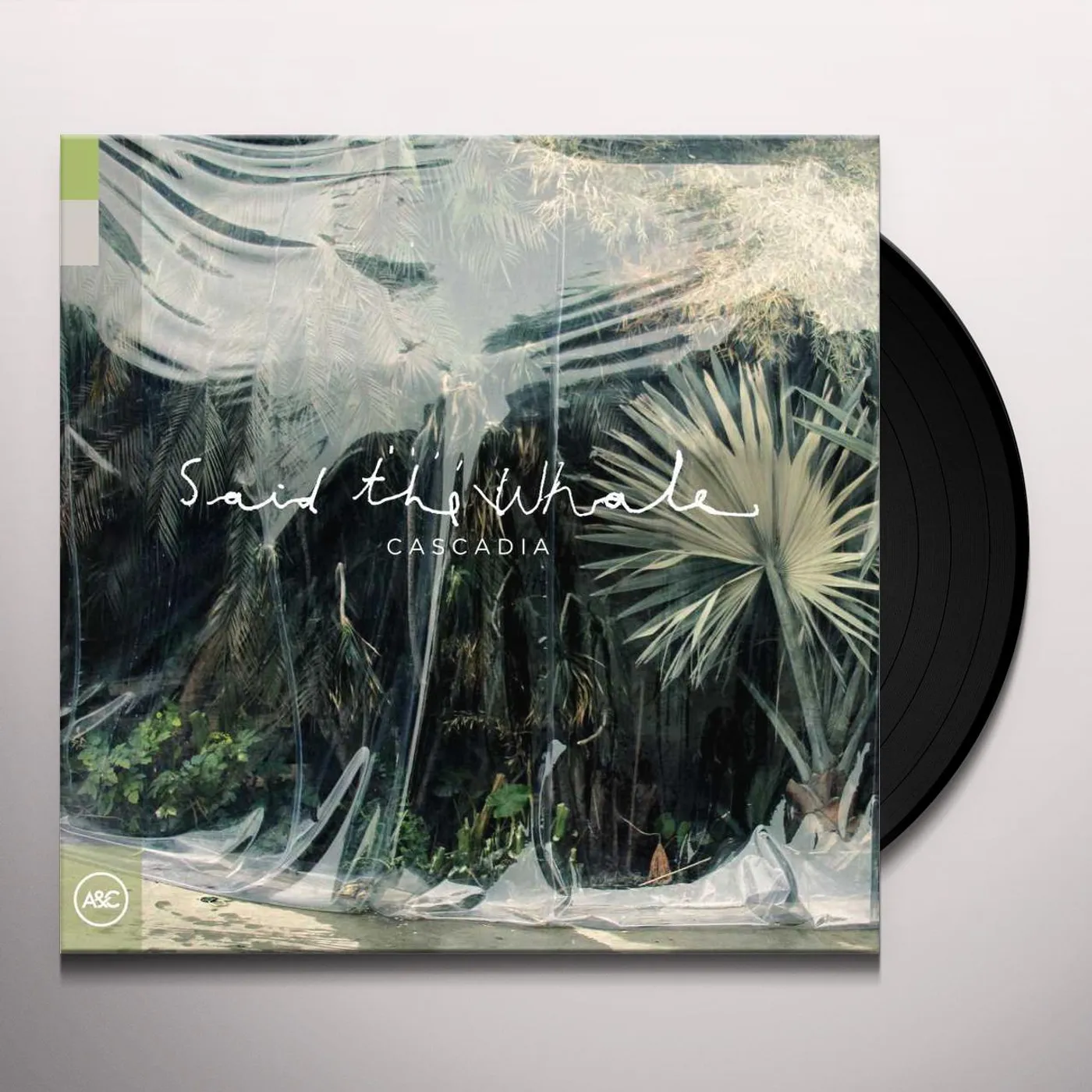 Said The Whale Cascadia Vinyl Record