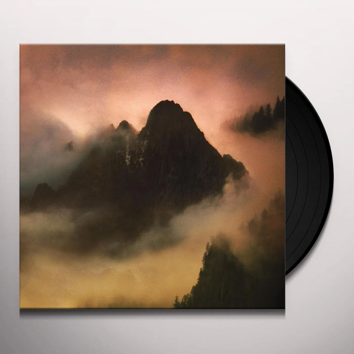 Dead To A Dying World Elegy Vinyl Record