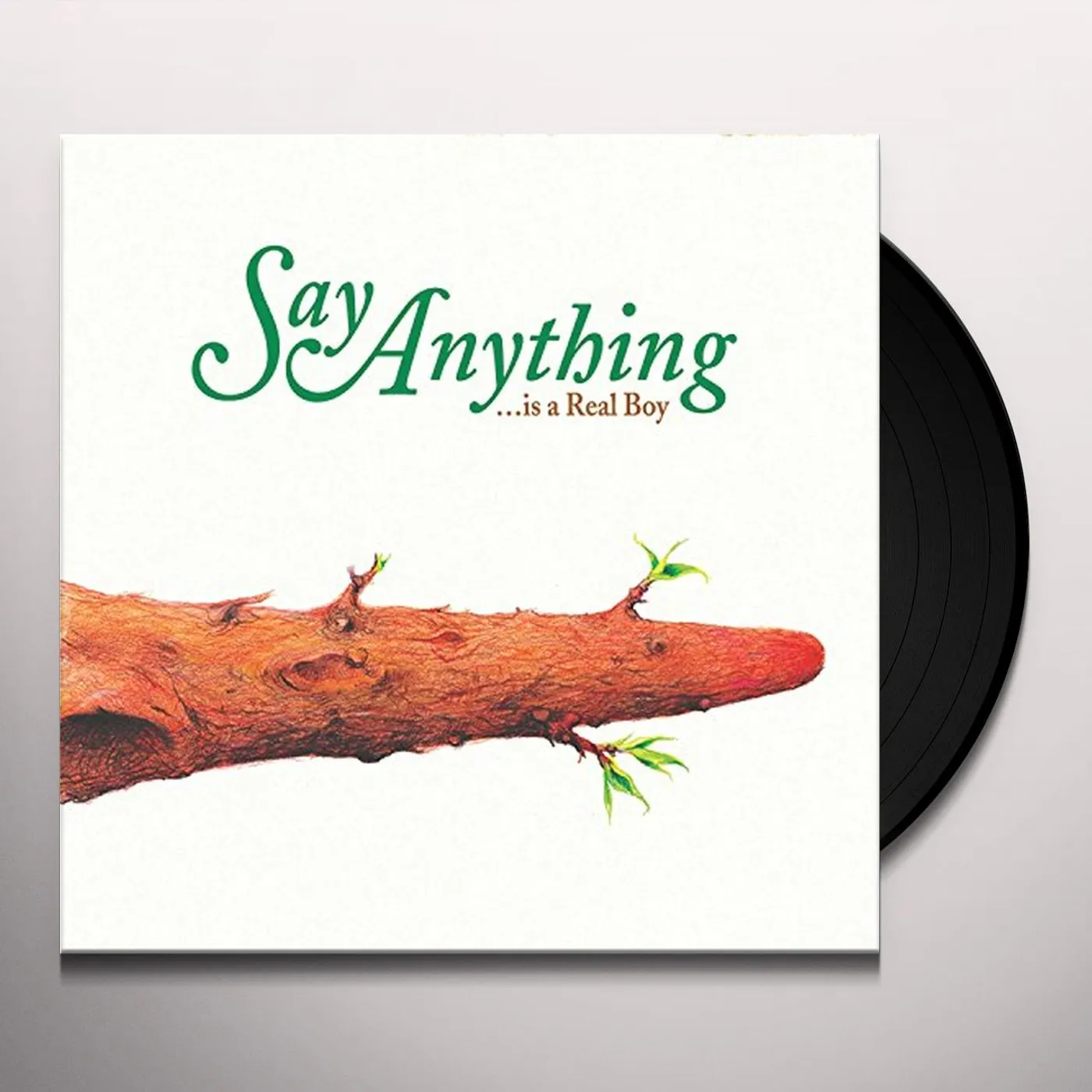 Say Anything Is a Real Boy Vinyl Record