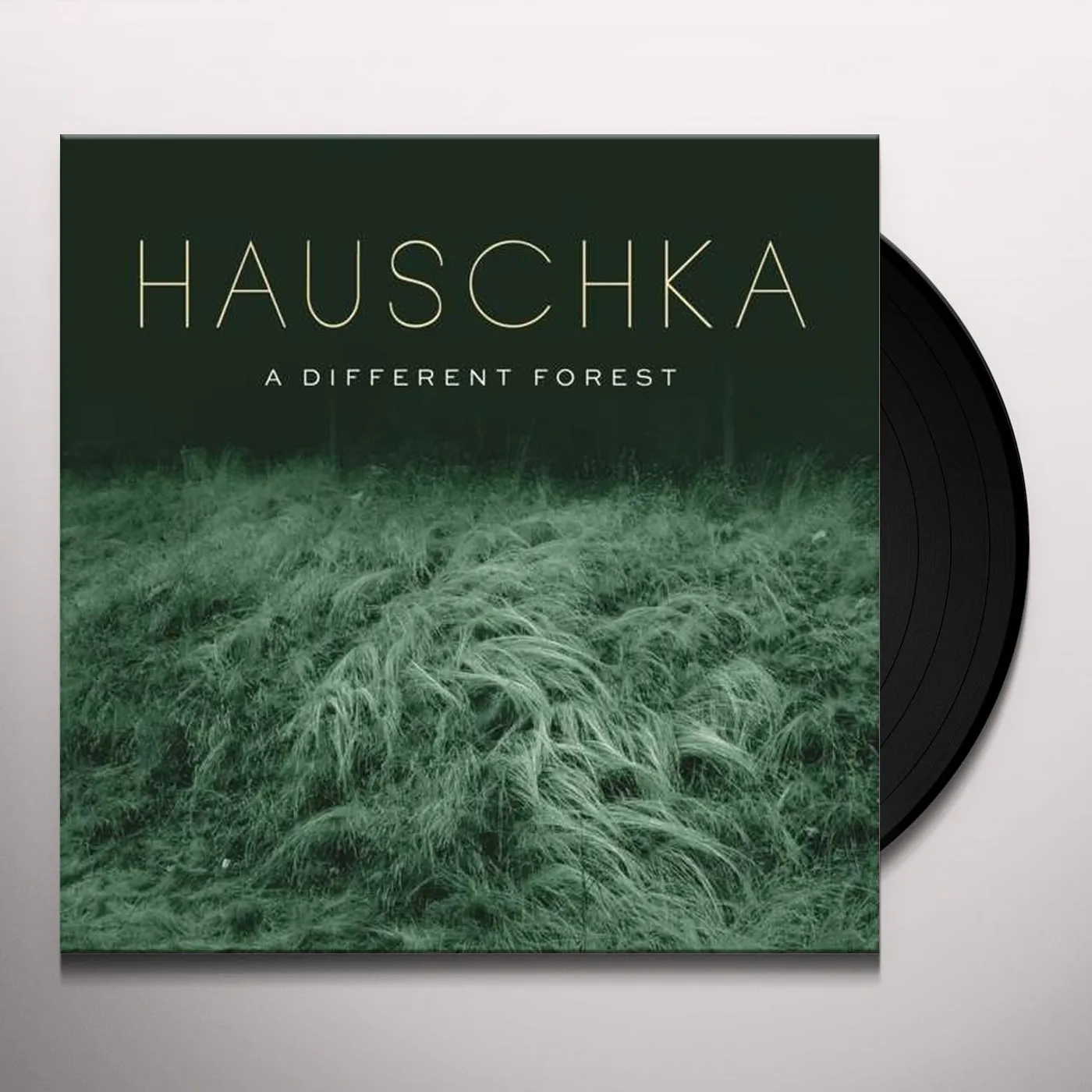 Hauschka DIFFERENT FOREST Vinyl Record