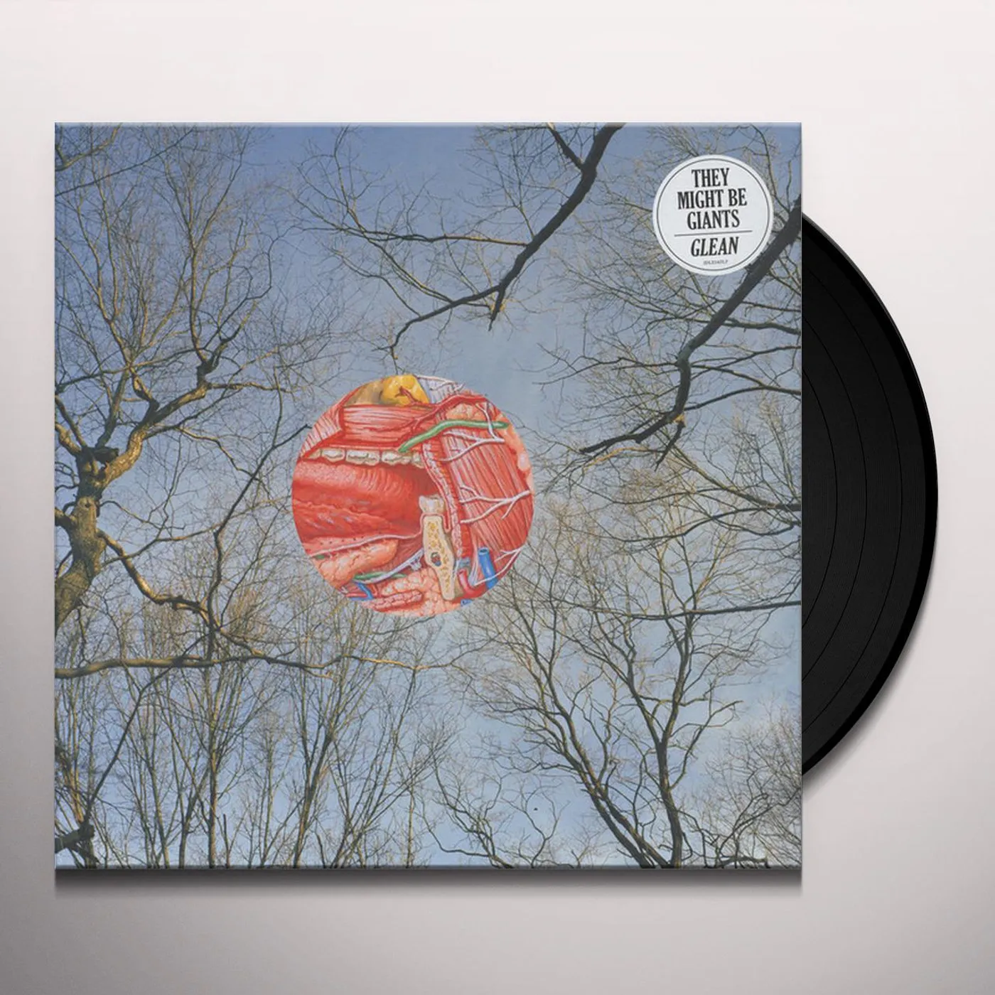 They Might Be Giants GLEAN Vinyl Record