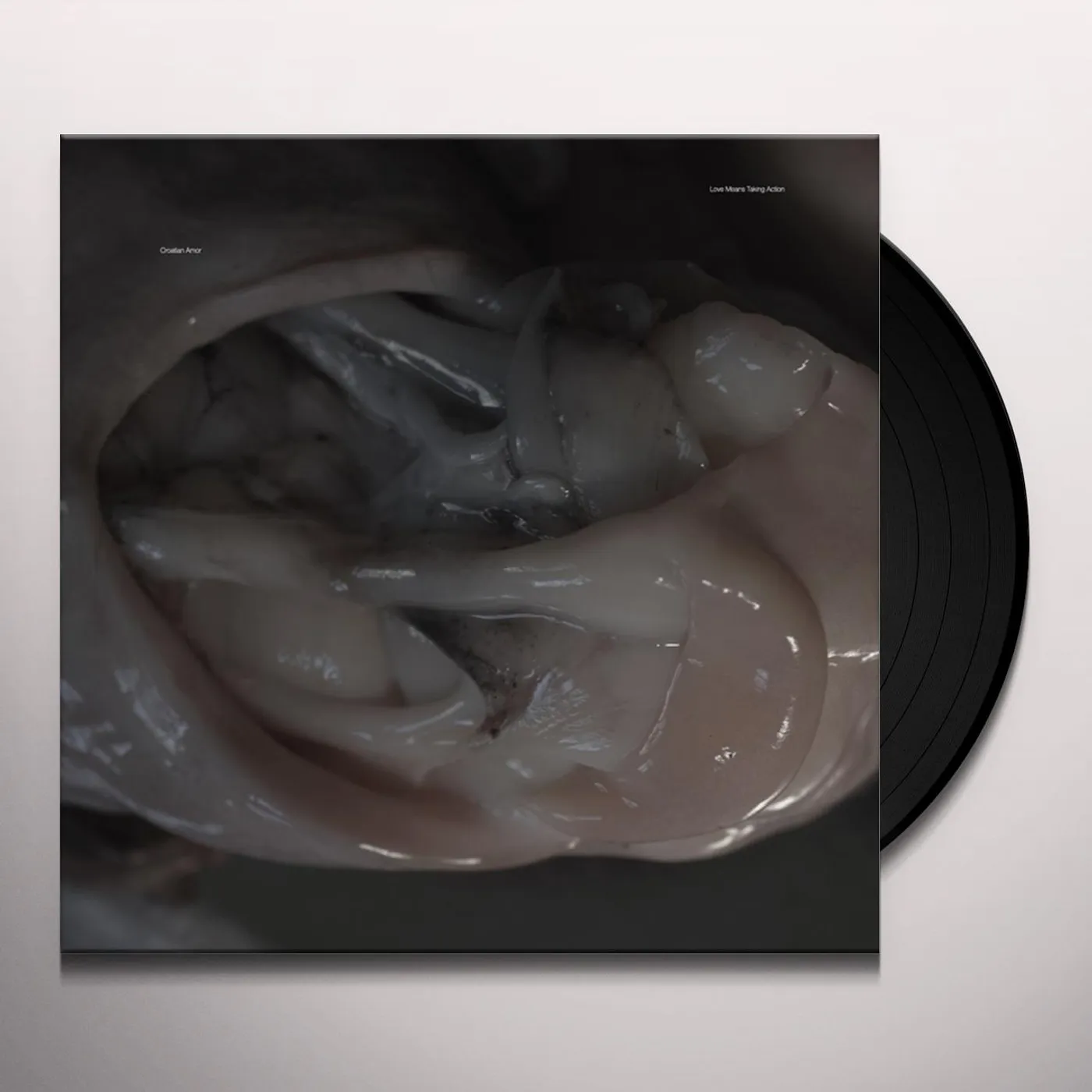 Croatian Amor Love Means Taking Action Vinyl Record