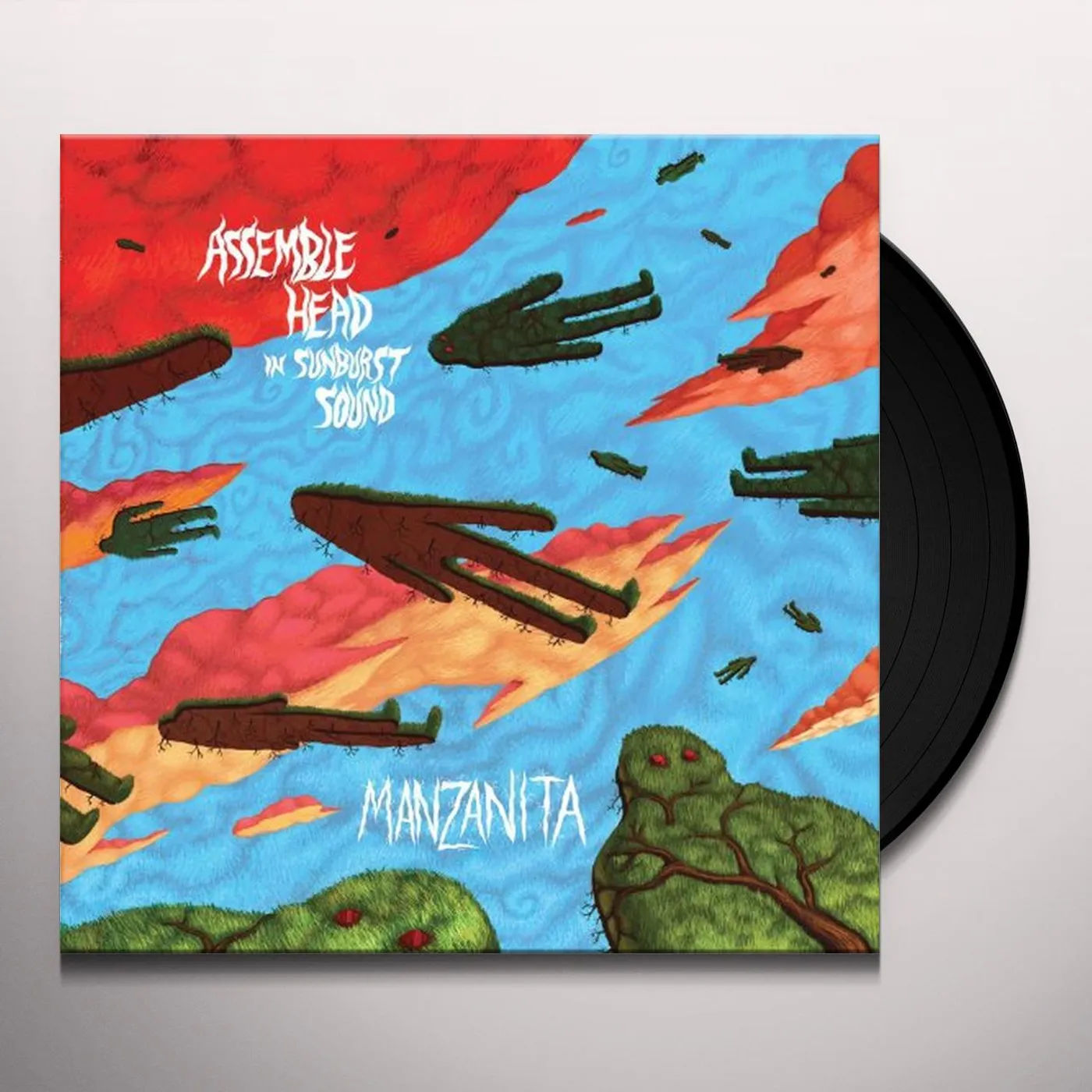 Assemble Head In Sunburst Sound Manzanita Vinyl Record