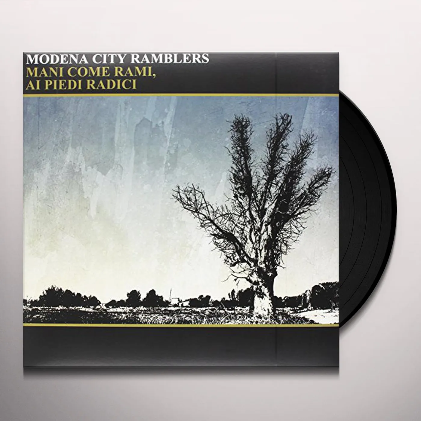 Modena City Ramblers MANI COME RAMI AI PIEDI RADICI Vinyl Record