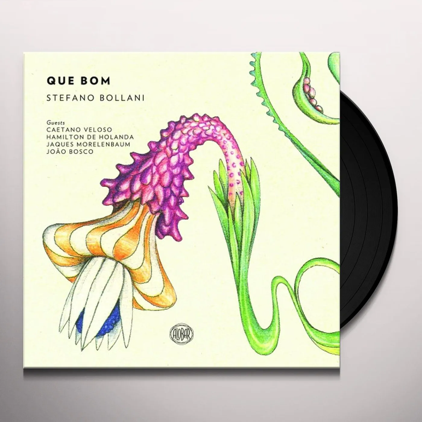 Stefano Bollani Que Bom Vinyl Record