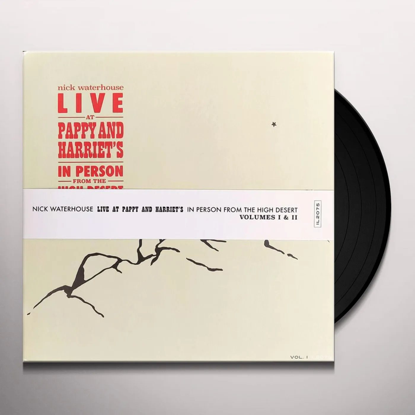 Nick Waterhouse LIVE AT PAPPY & HARRIET'S: IN PERSON FROM THE HIGH Vinyl Record