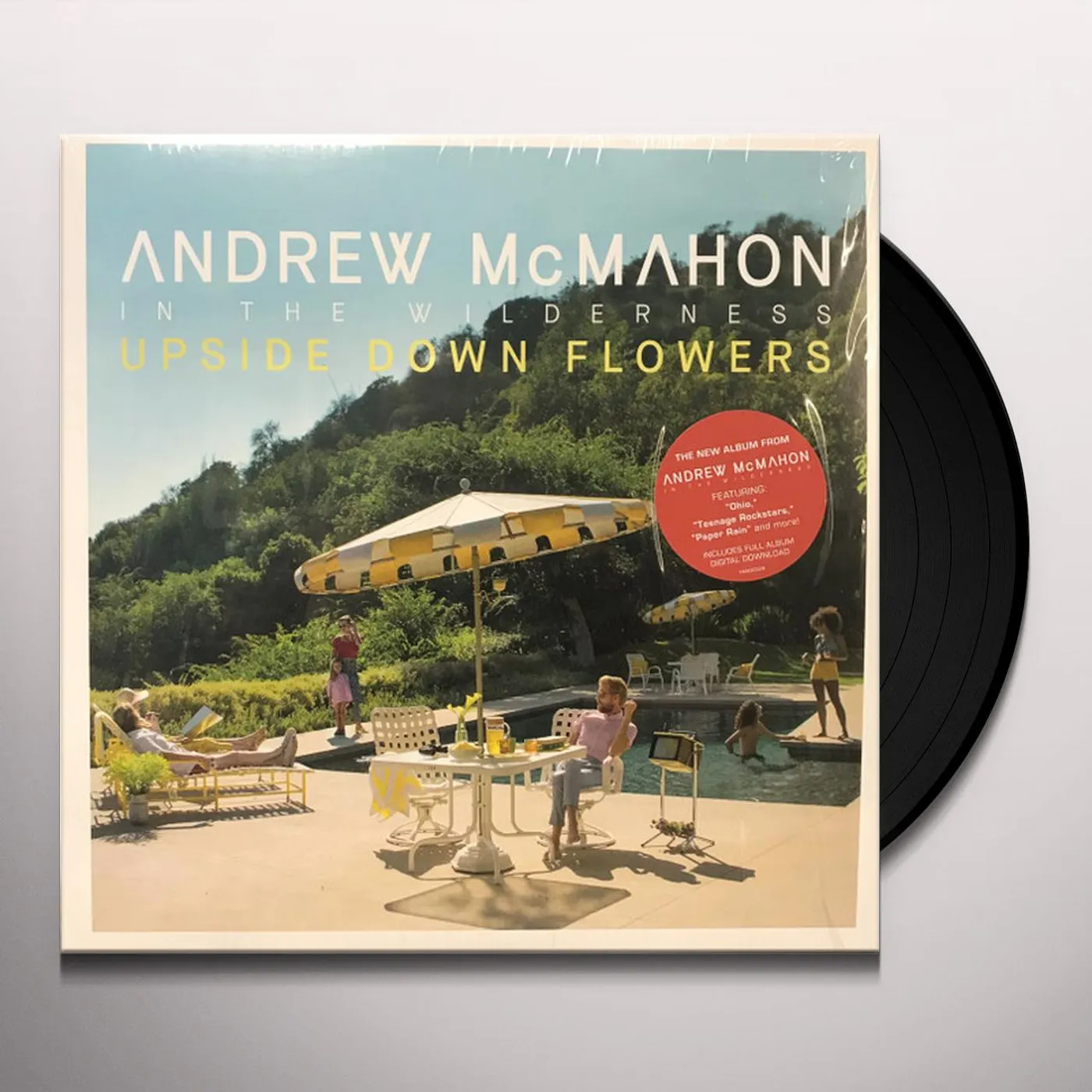 Andrew McMahon in the Wilderness Upside Down Flowers Vinyl Record